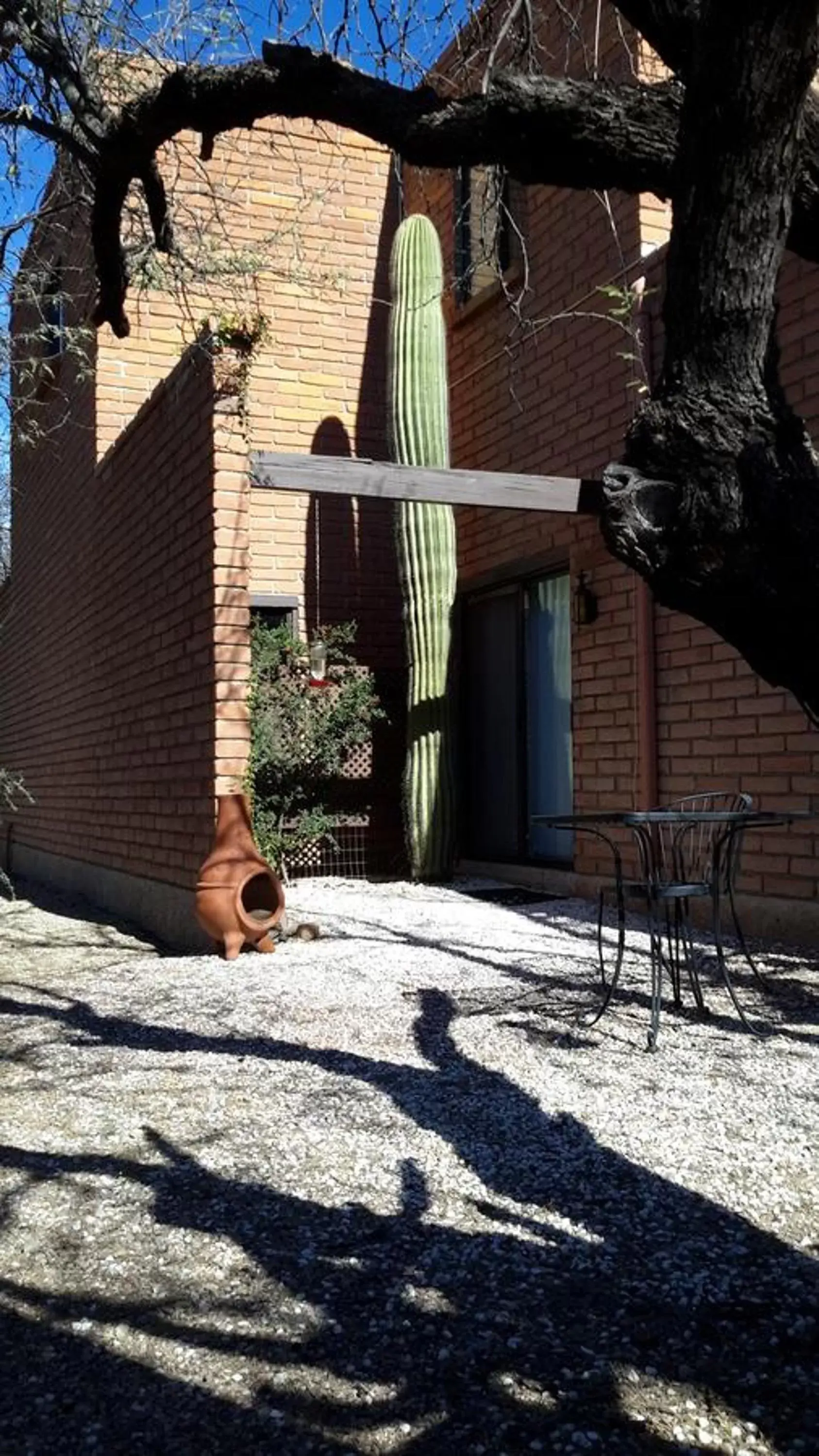 Queen Room with Garden View in Desert Trails Bed & Breakfast Queen Room with Garden View in Desert Trails Bed & Breakfast