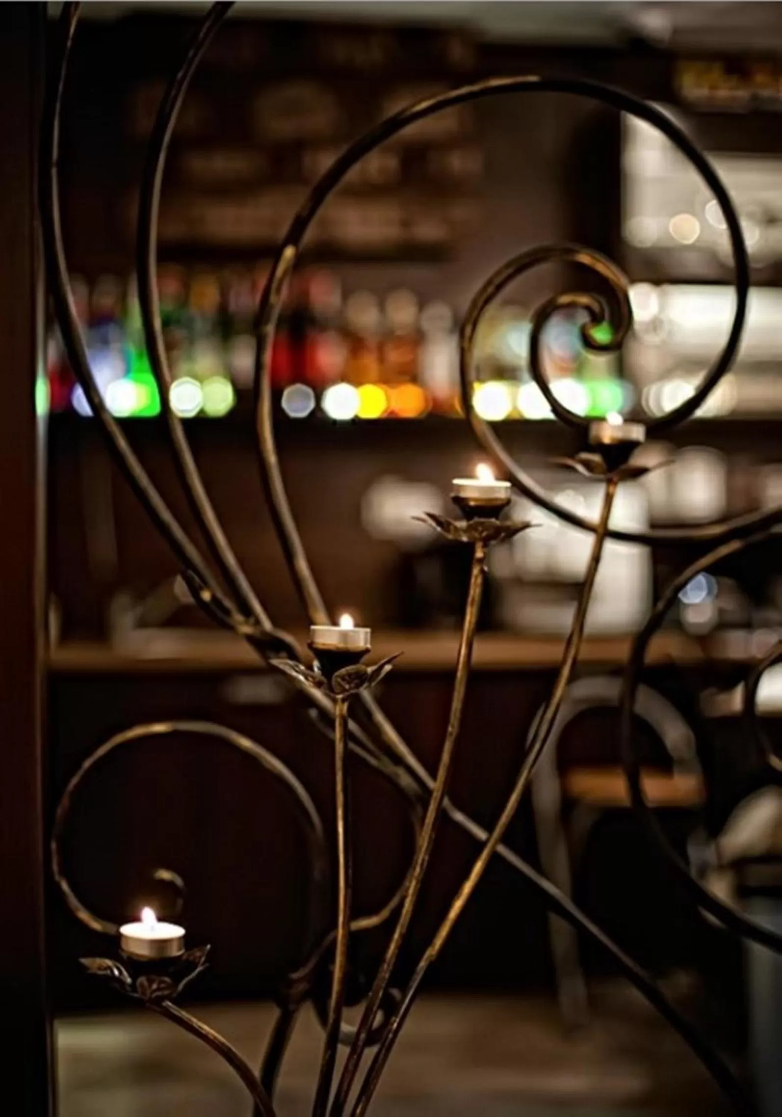 Lounge or bar in Hotel Willa Adriana