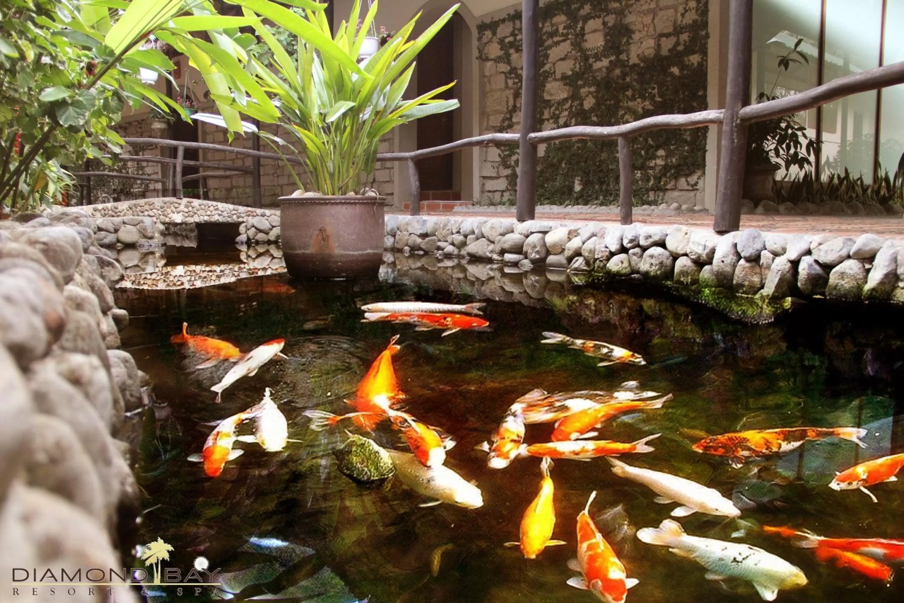 Restaurant/places to eat in Diamond Bay Resort & Spa