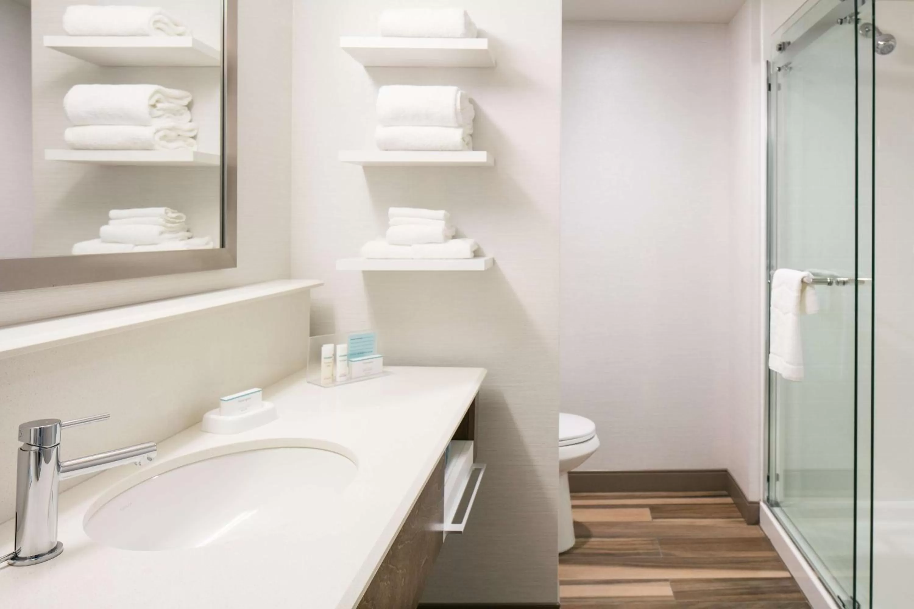 Bathroom in Hampton Inn & Suites Mason City, IA