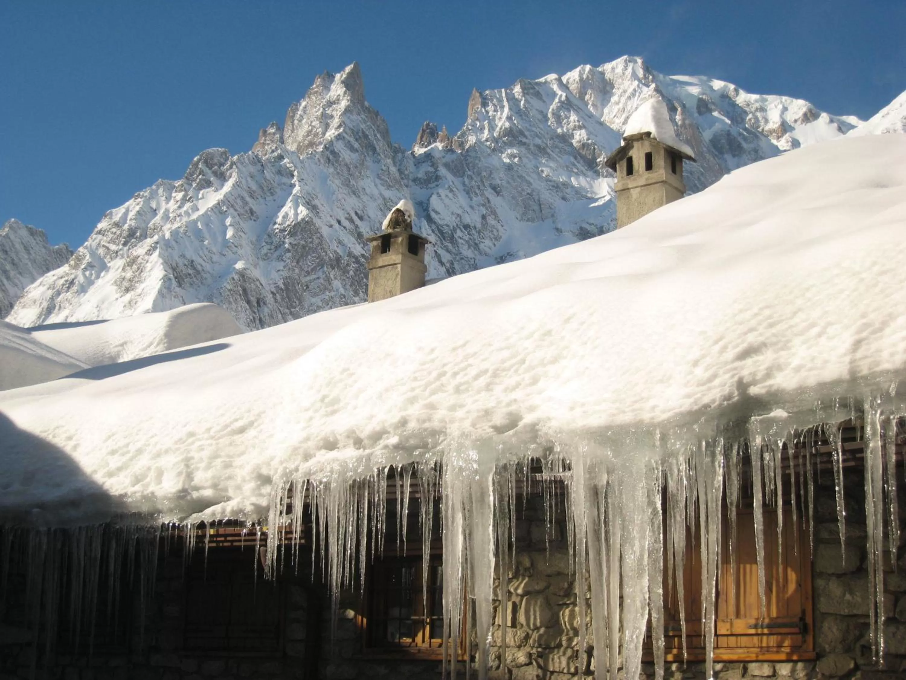 Winter in Hotel La Grange - Animal Chic Hotel