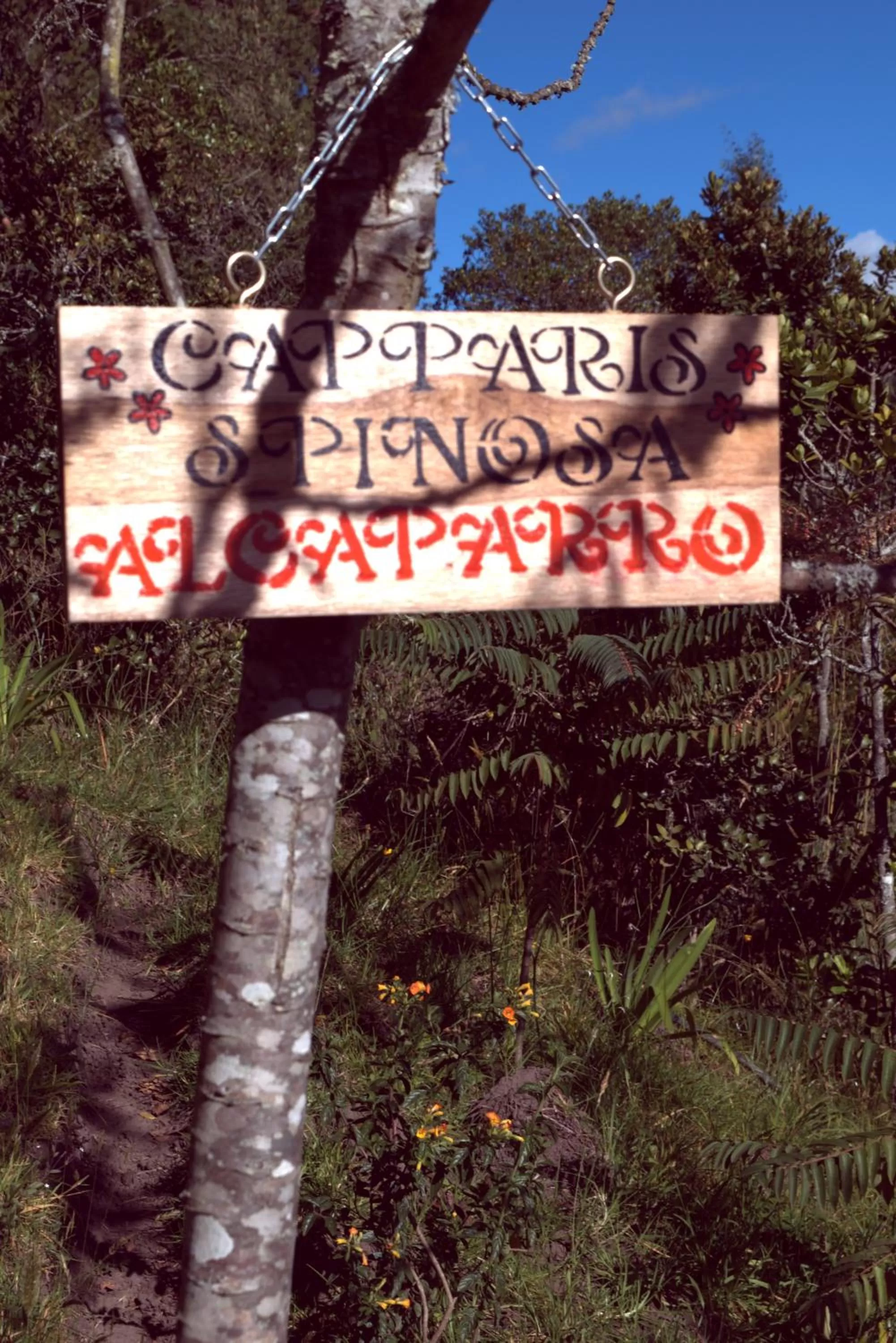 Garden, Property Logo/Sign in El Pedregal Sopó