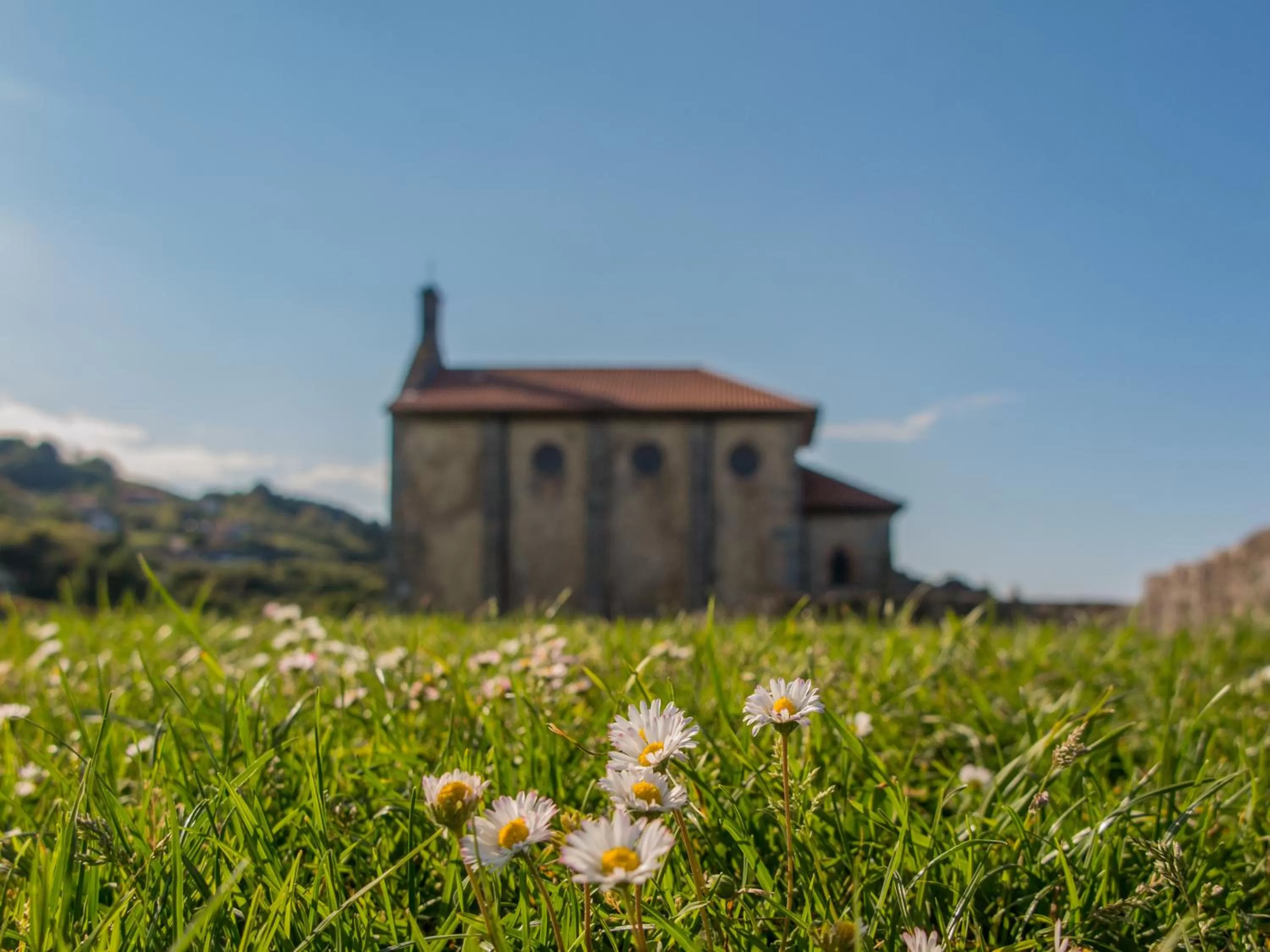 Entertainment in Hotel Branka