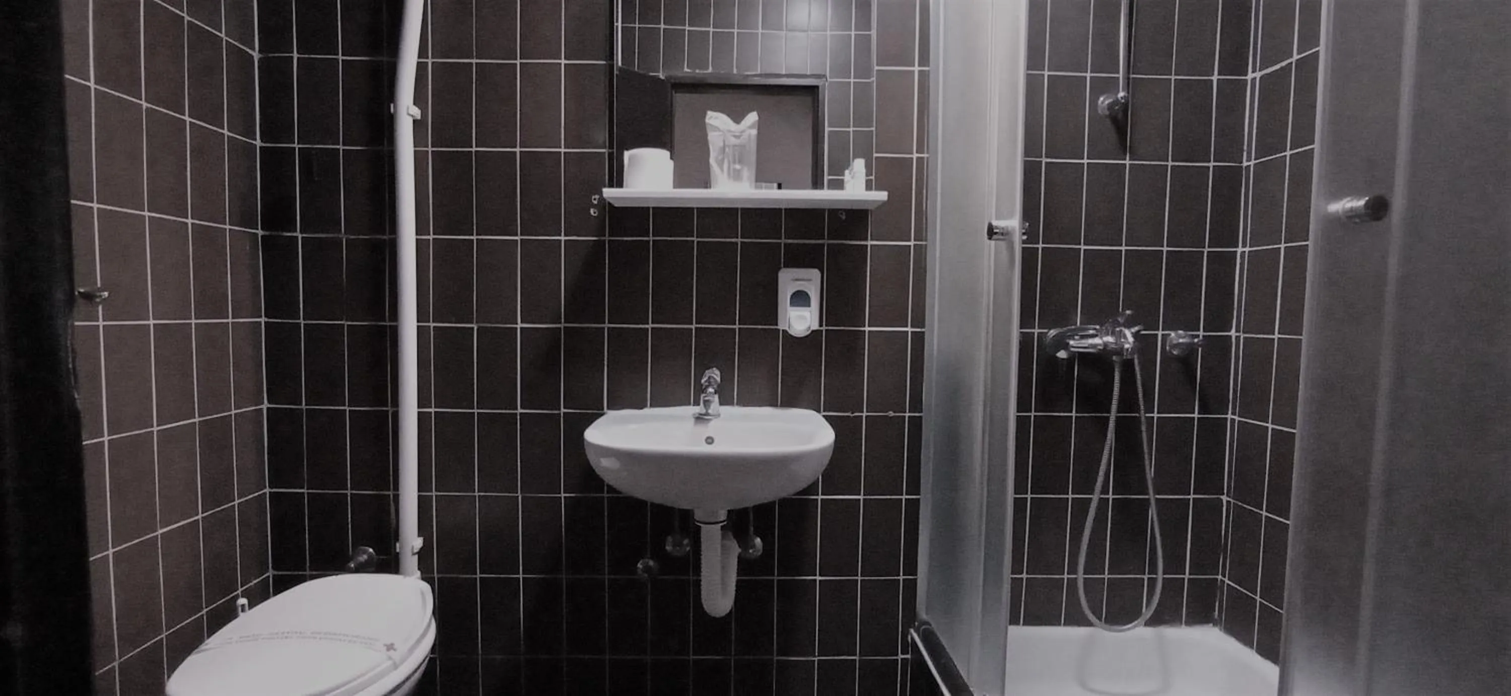 Toilet in Hotel Vojvodina