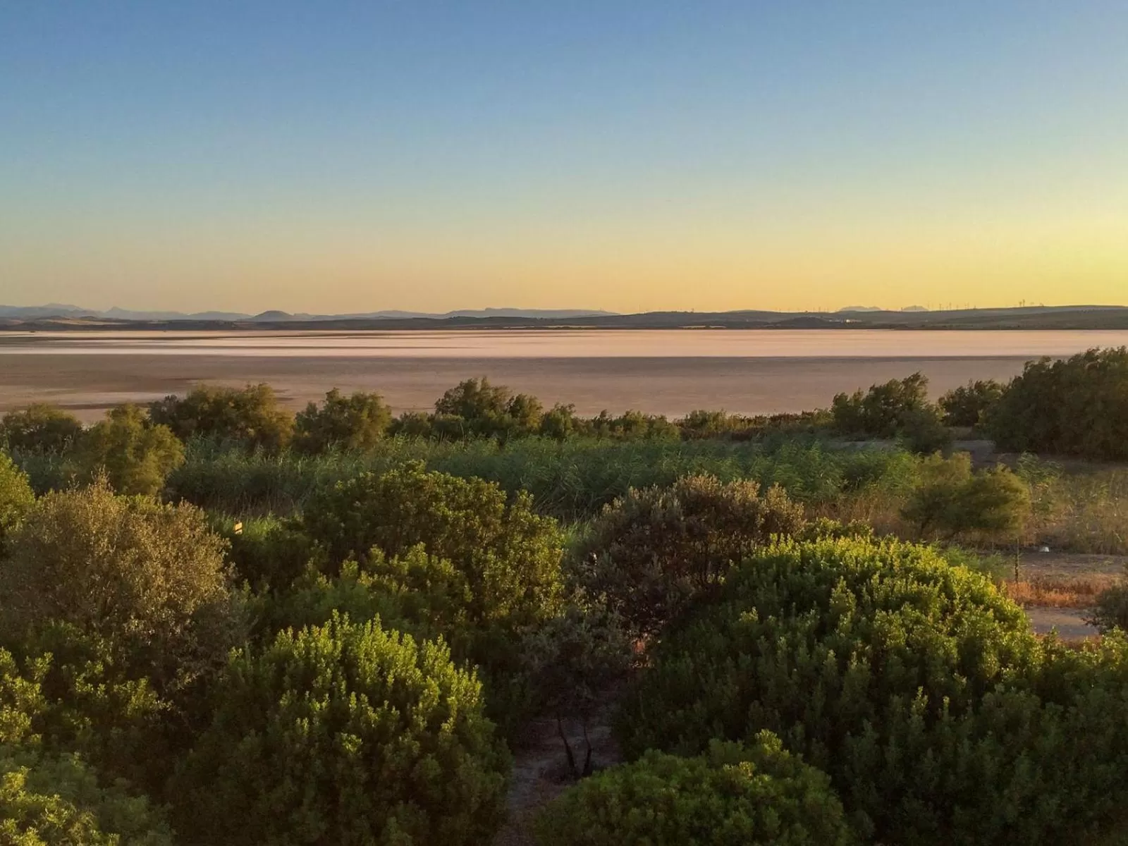 Nearby landmark in Apartamentos La Laguna