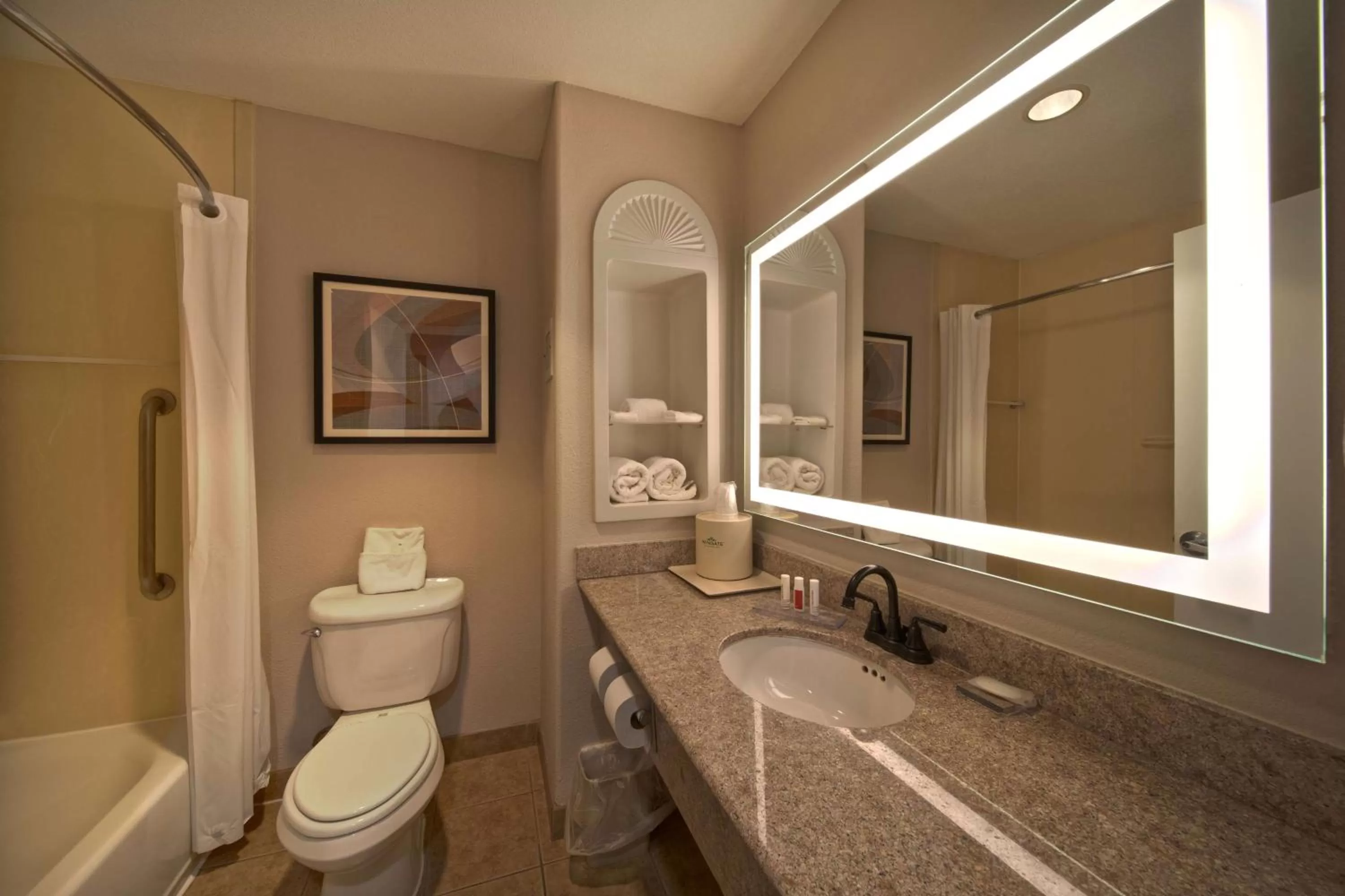 TV and multimedia in Wingate by Wyndham Houston Bush Intercontinental Airport