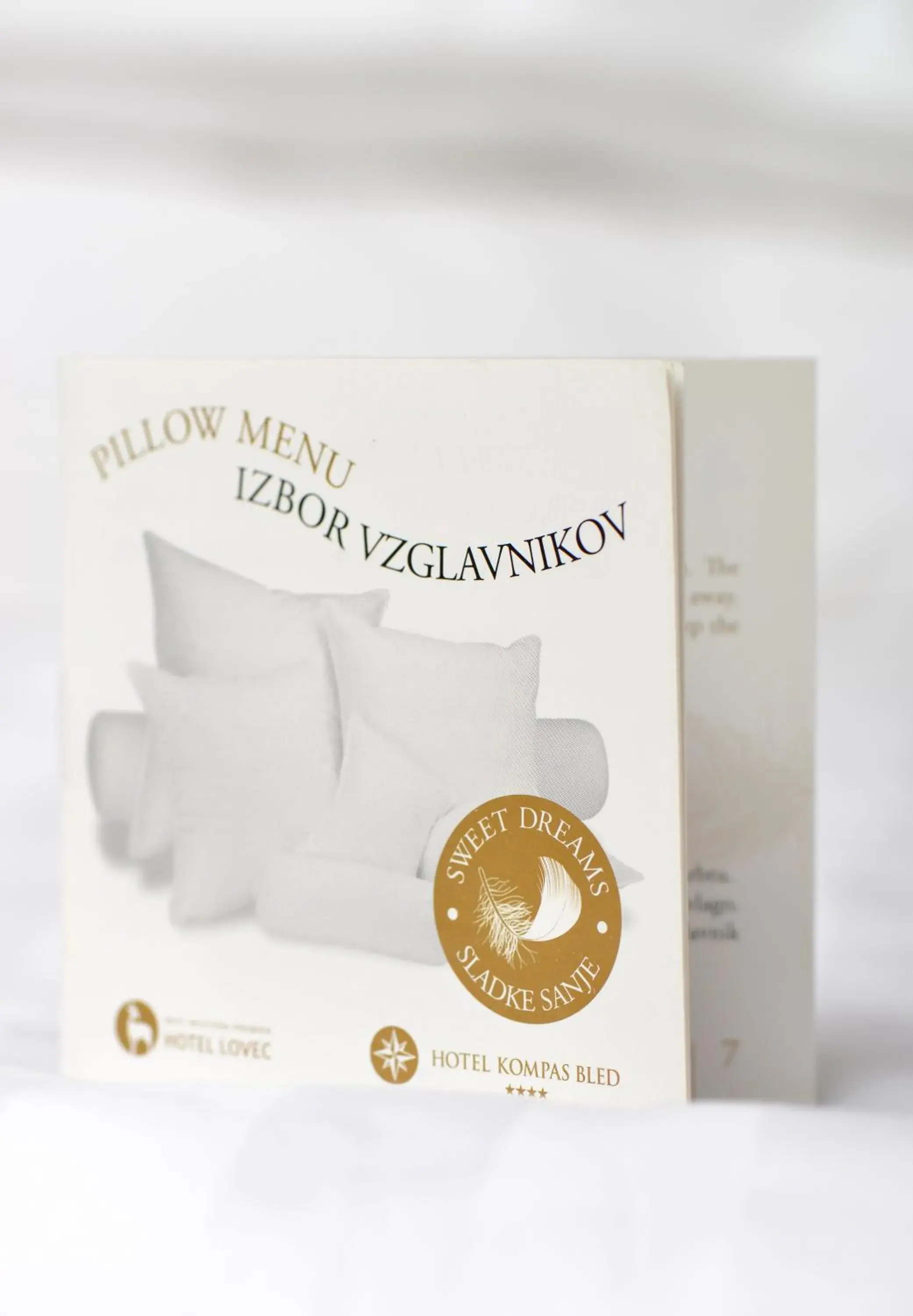 Double Room with Lake View in Hotel Lovec Double Room with Lake View in Hotel Lovec