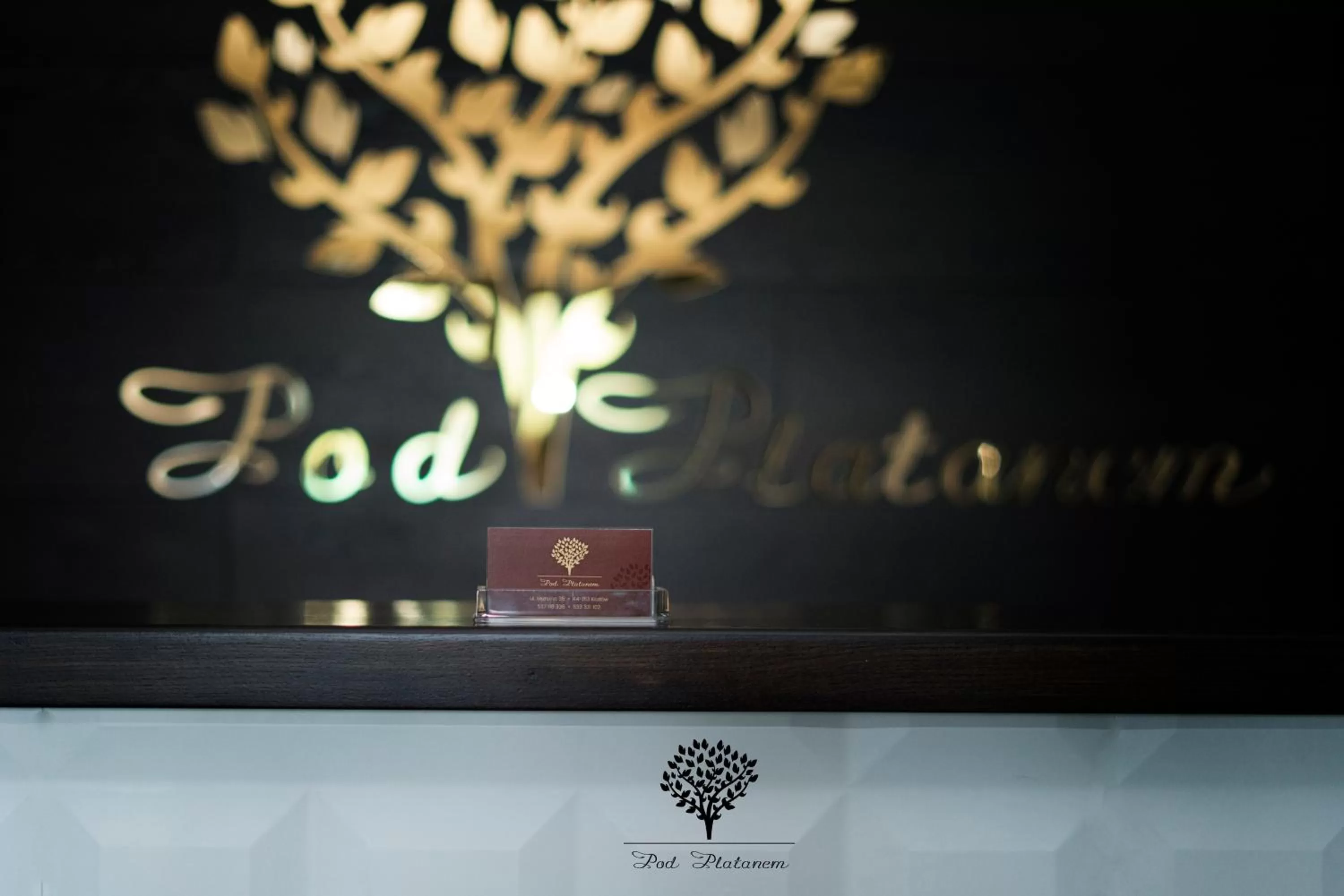 Property Logo/Sign in Pod Platanem Gliwice