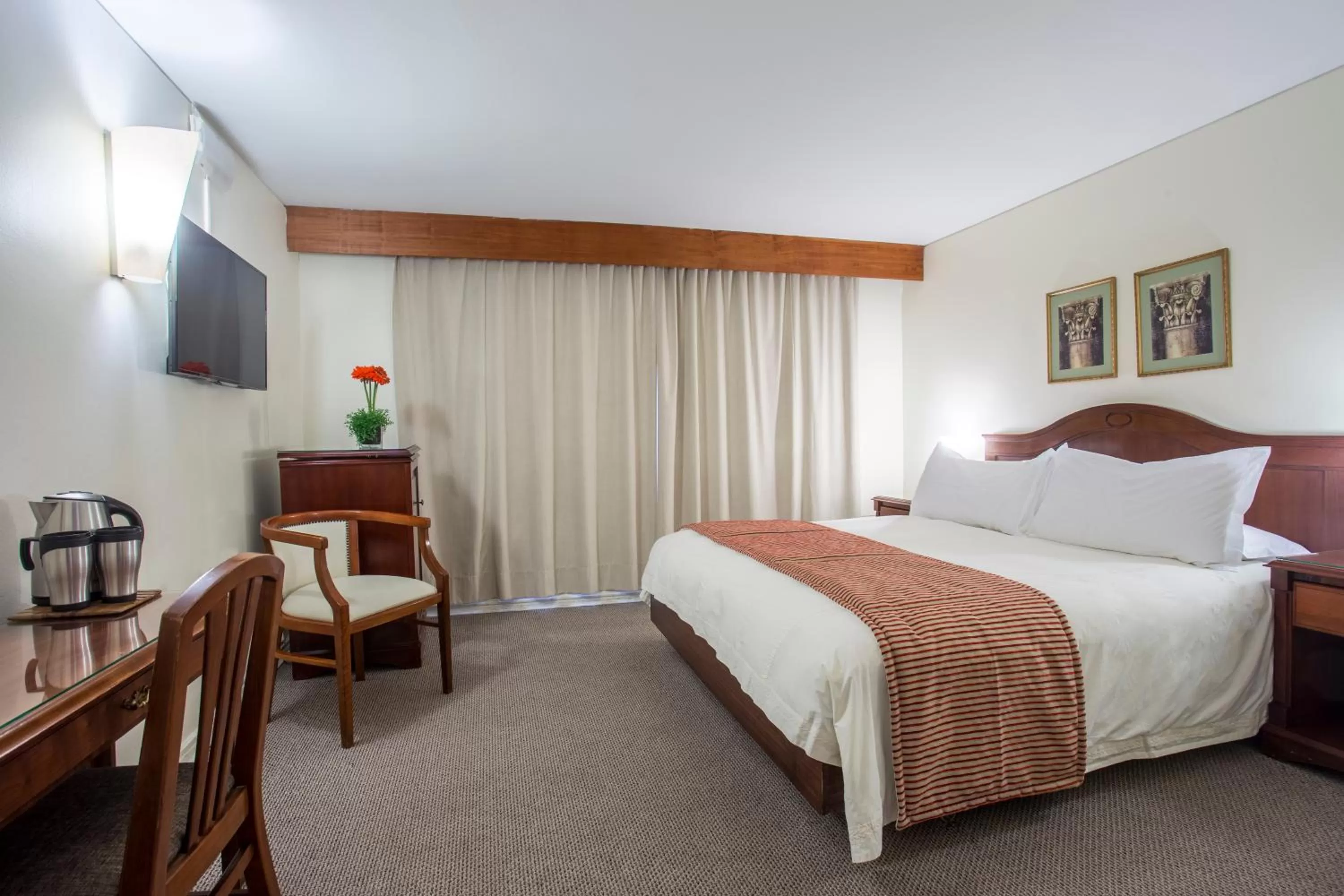 Standard Double Room - single occupancy in MR Hotel Providencia (ex Hotel Neruda)