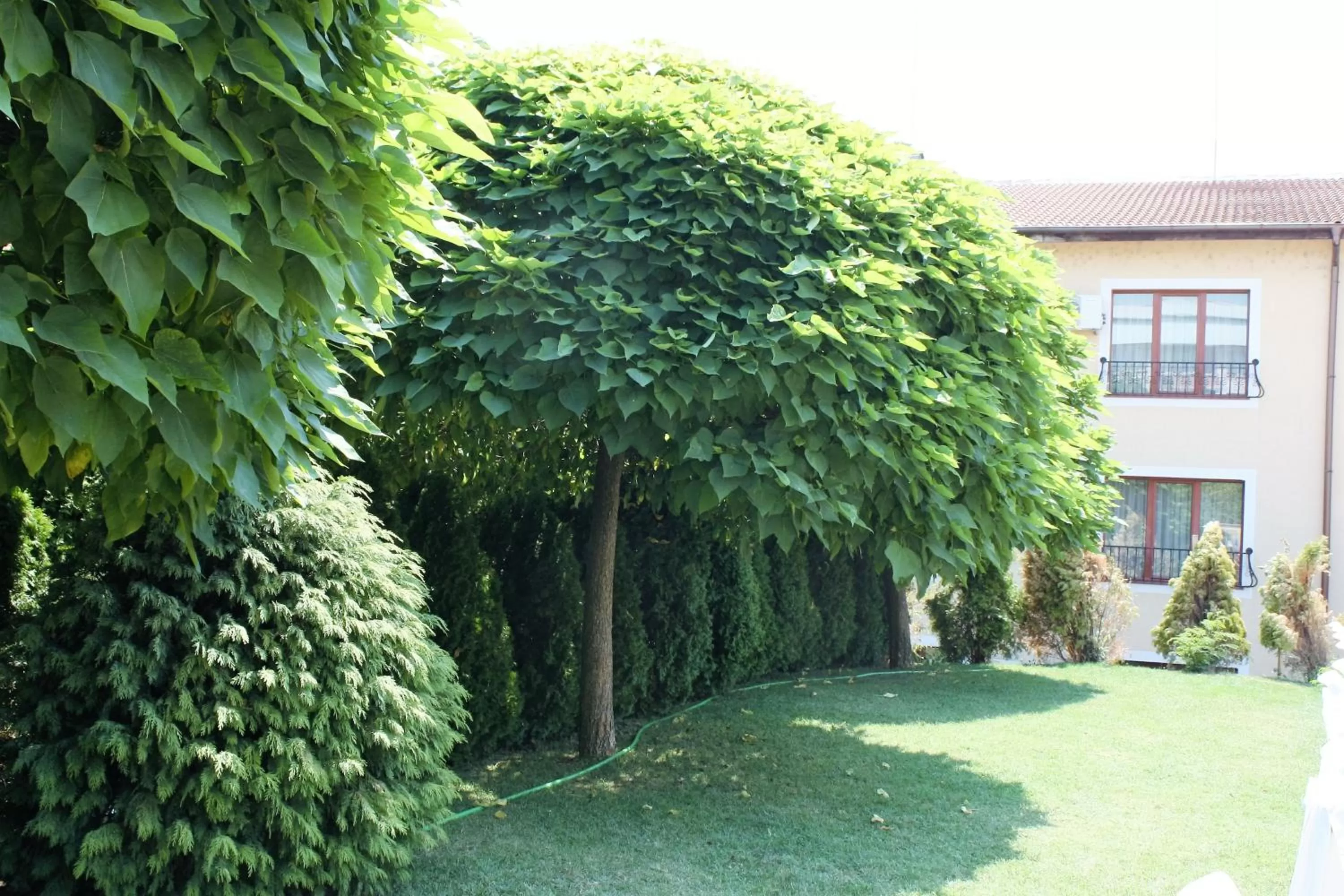 Decorative detail in Hotel Villa Verde