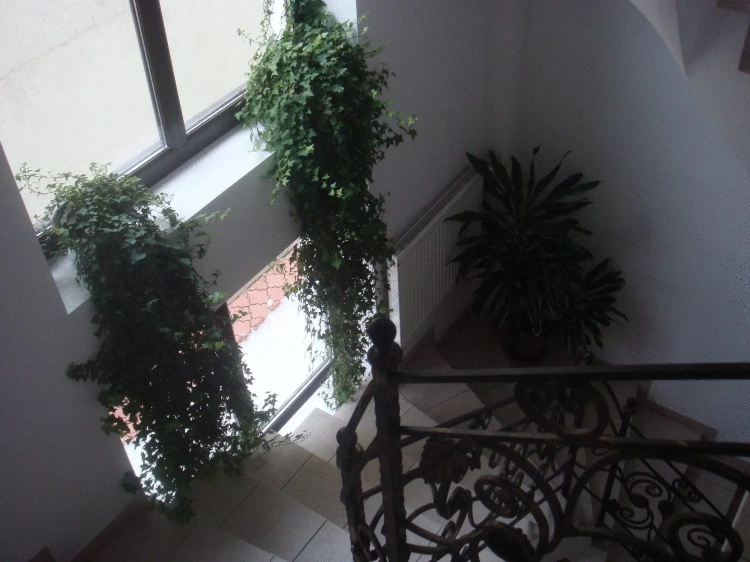 Other in Villa Edera Residence - Gazda Profesionista