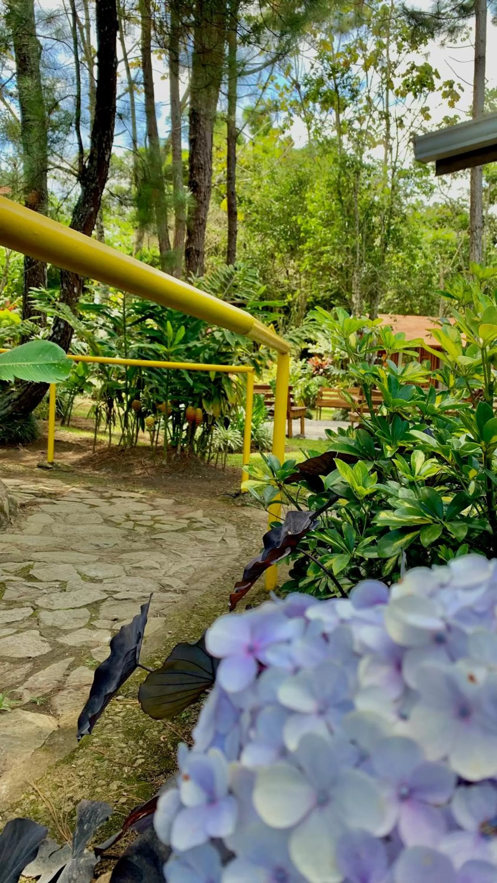 Garden in Vista Turrialba Lodge