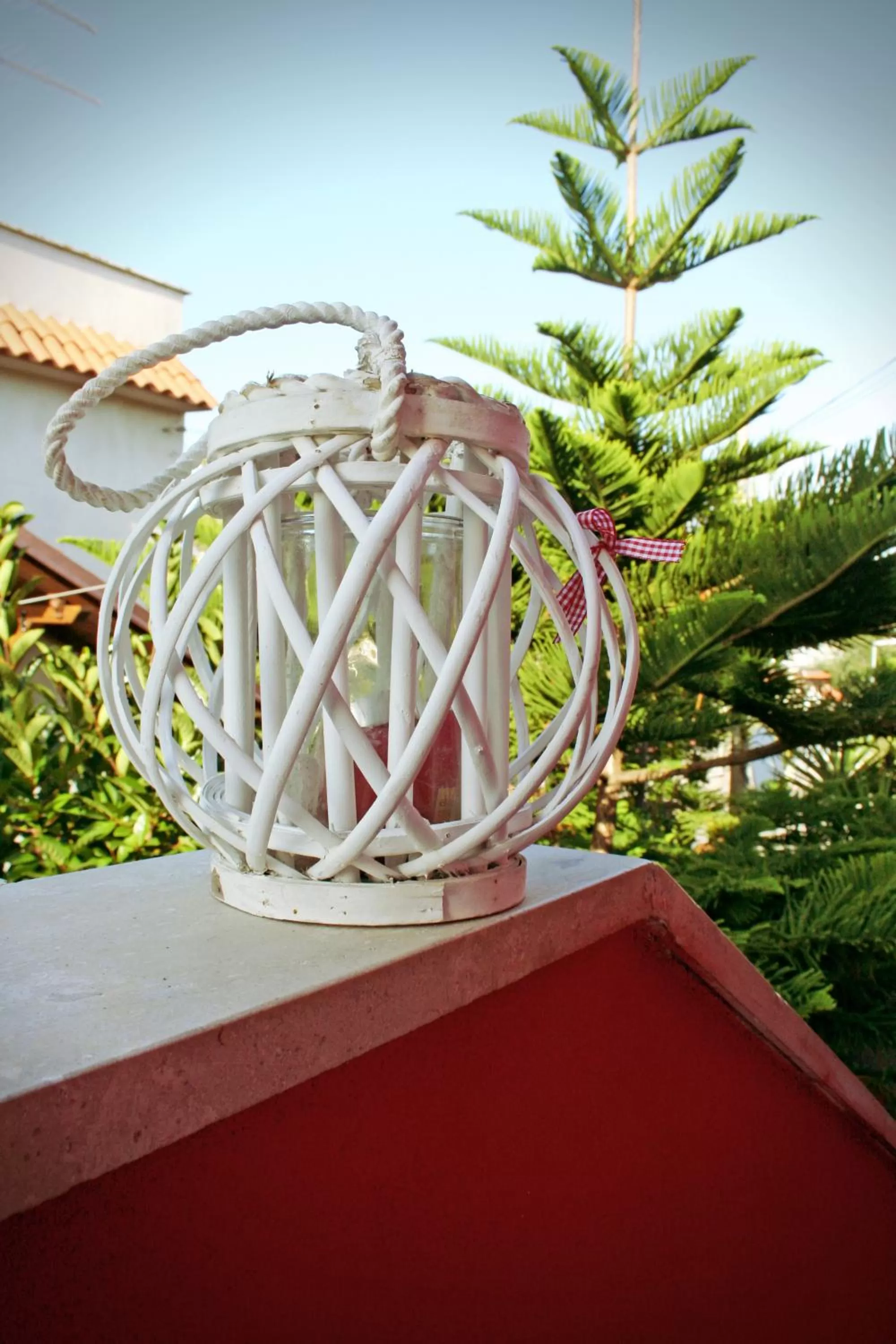 Patio in Fiumicino Airport B&B Deluxe