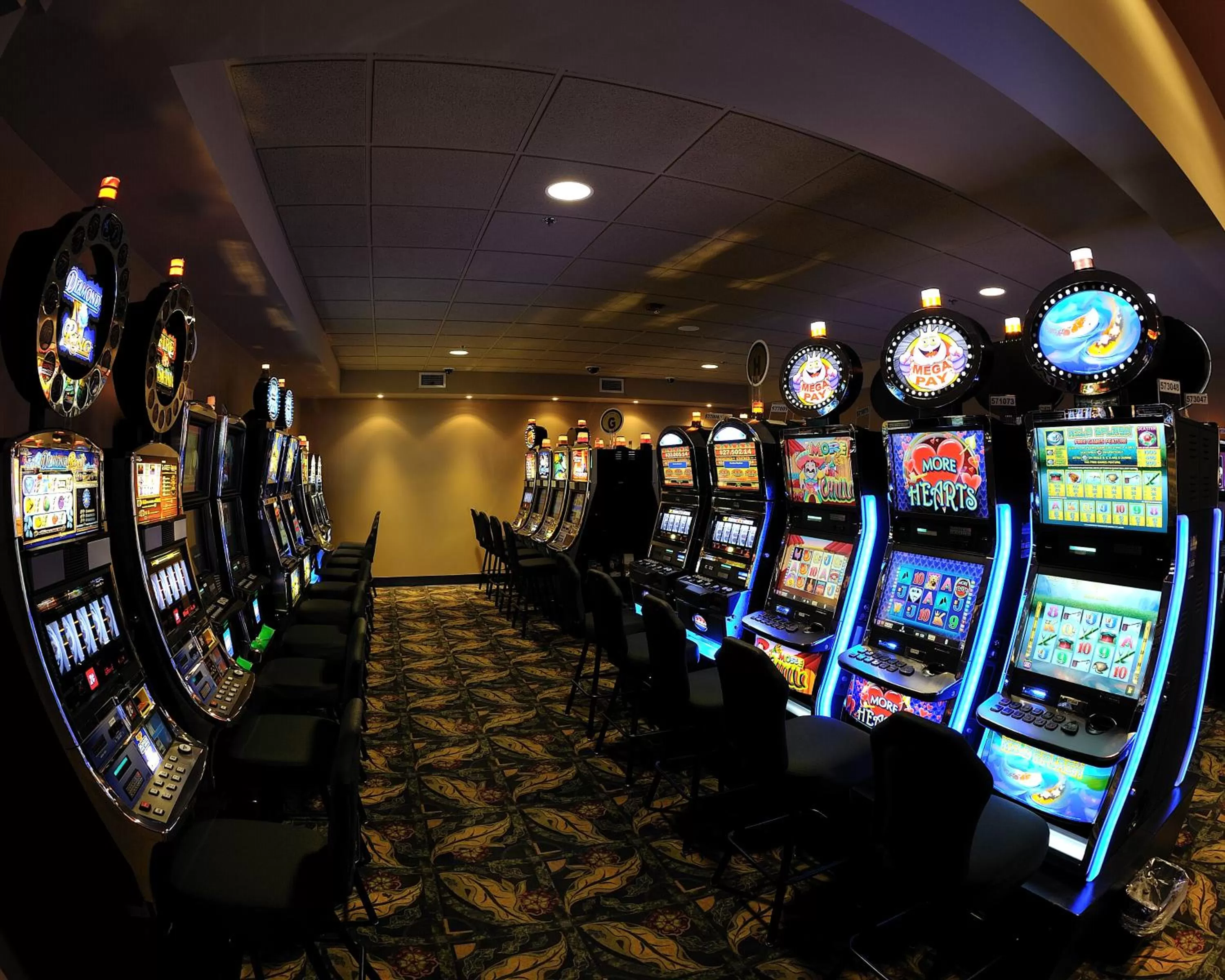 Casino in Camrose Resort Hotel