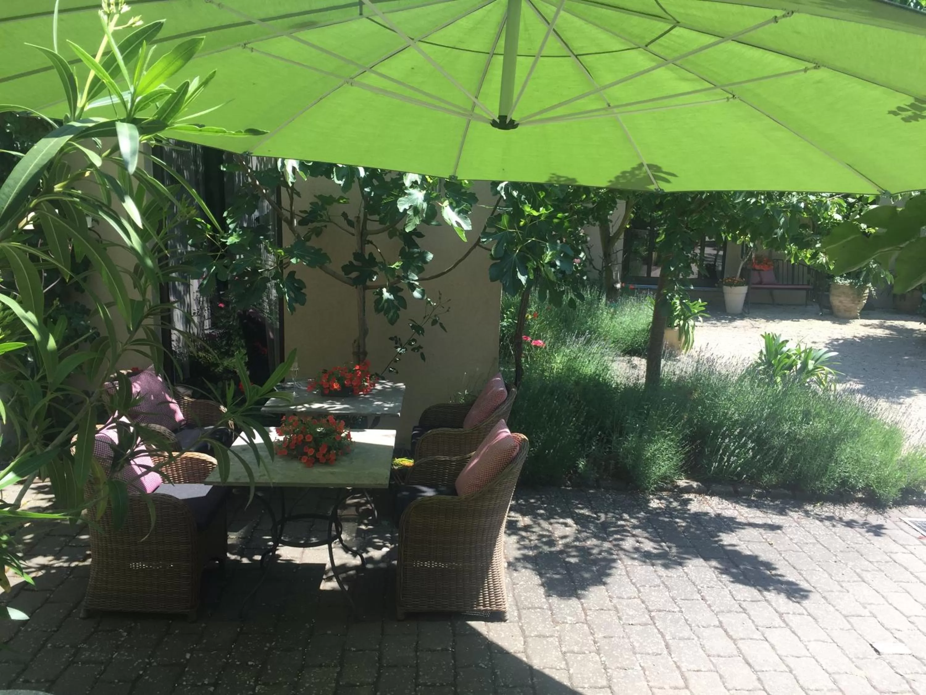 Patio in Jugendstil-Hof