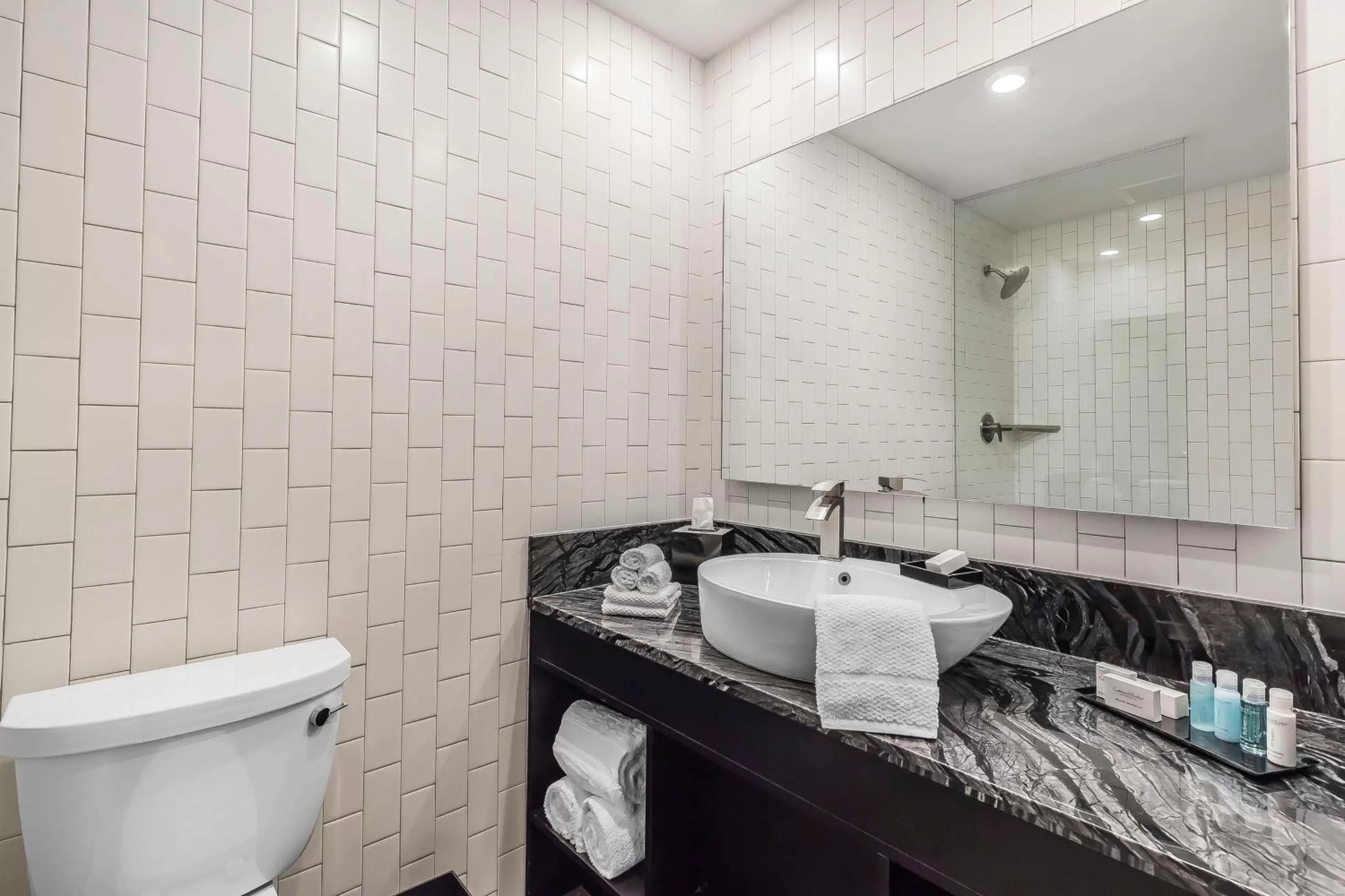 Bathroom in Lorenzo Hotel Dallas, Tapestry Collection by Hilton