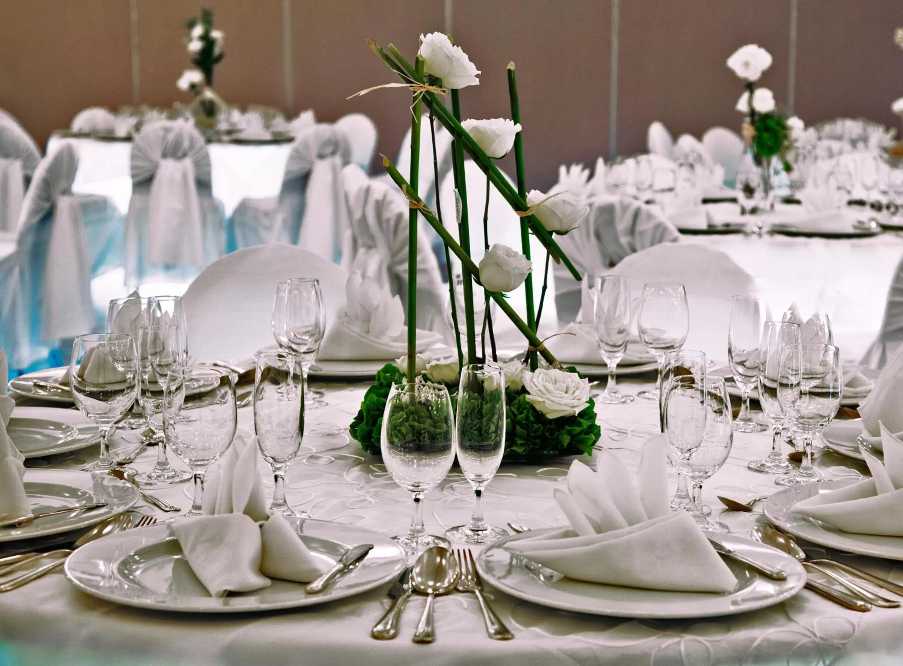 Banquet/Function facilities in Hotel Viva Villahermosa