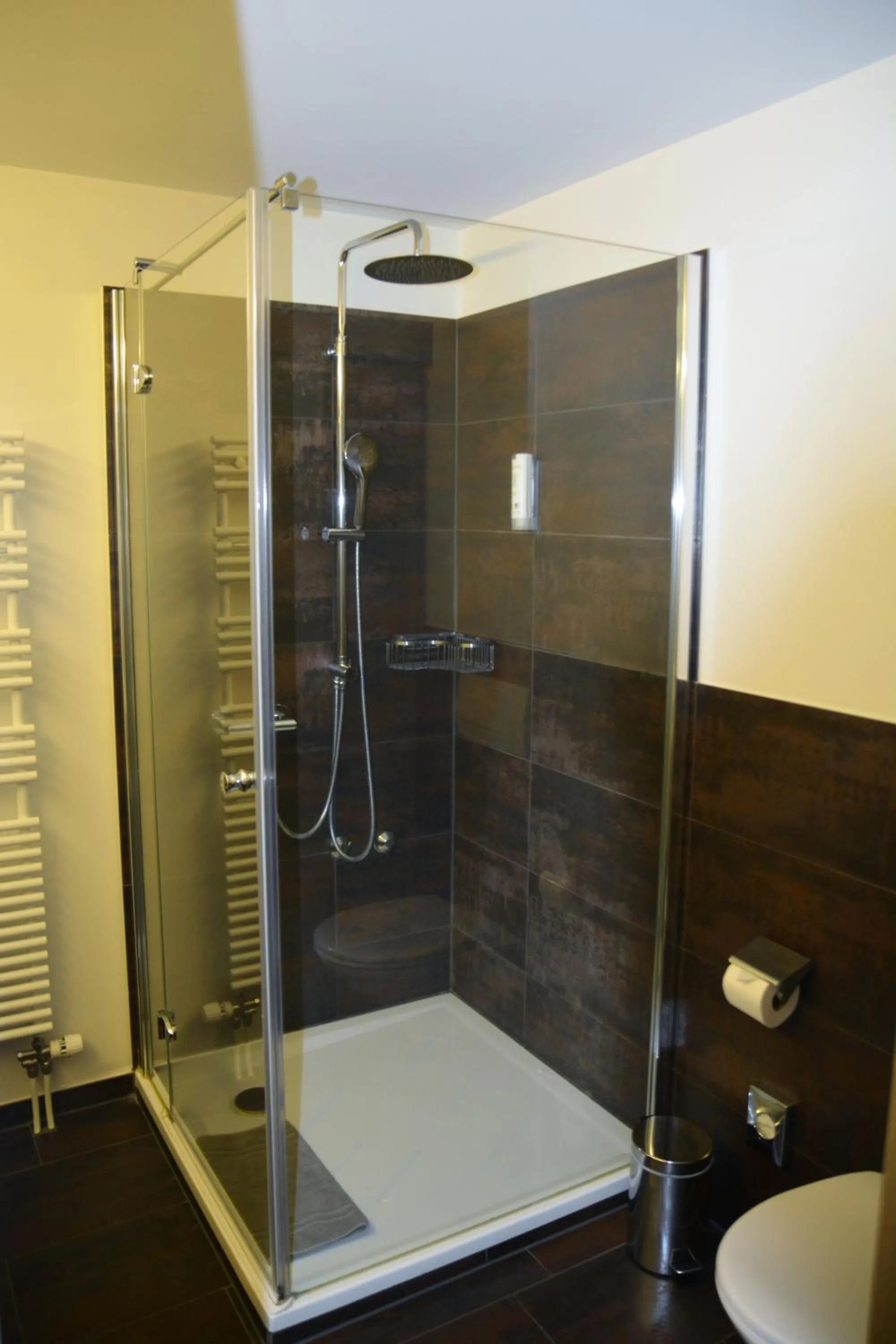 Shower in Parkhotel Langenthal
