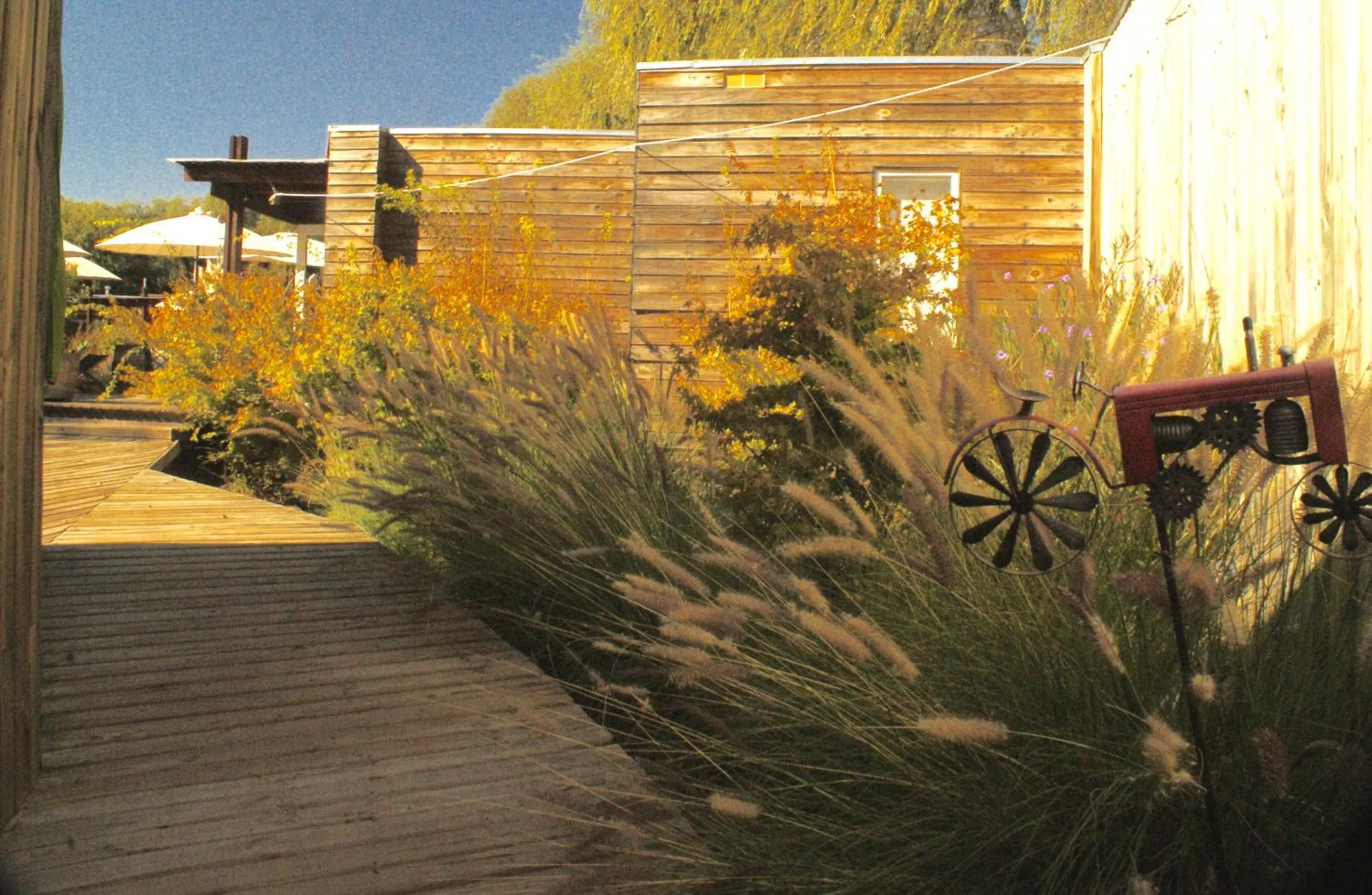 Garden, Property Building in Barrica Lodge