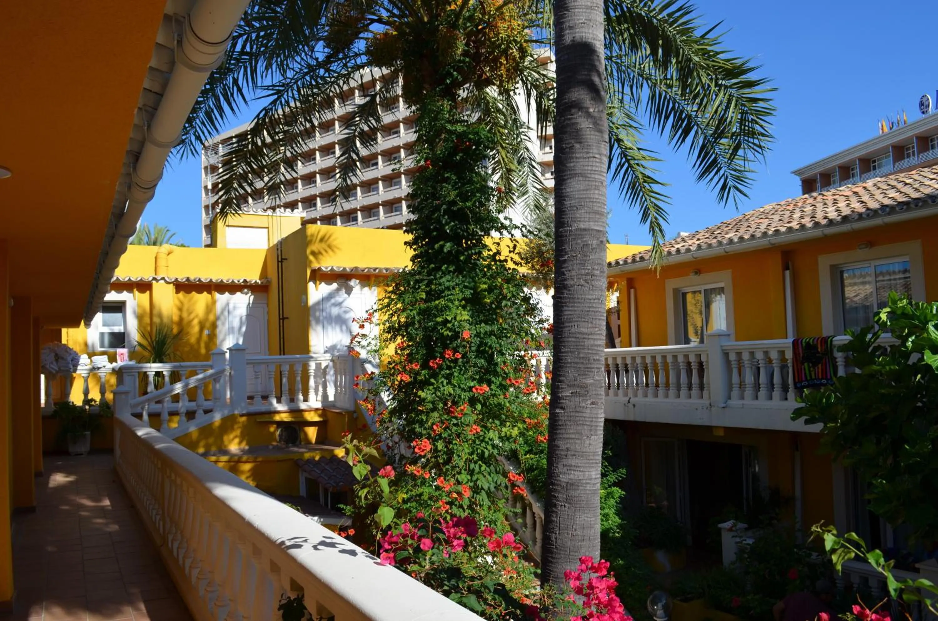 Day in Hotel Cupidor