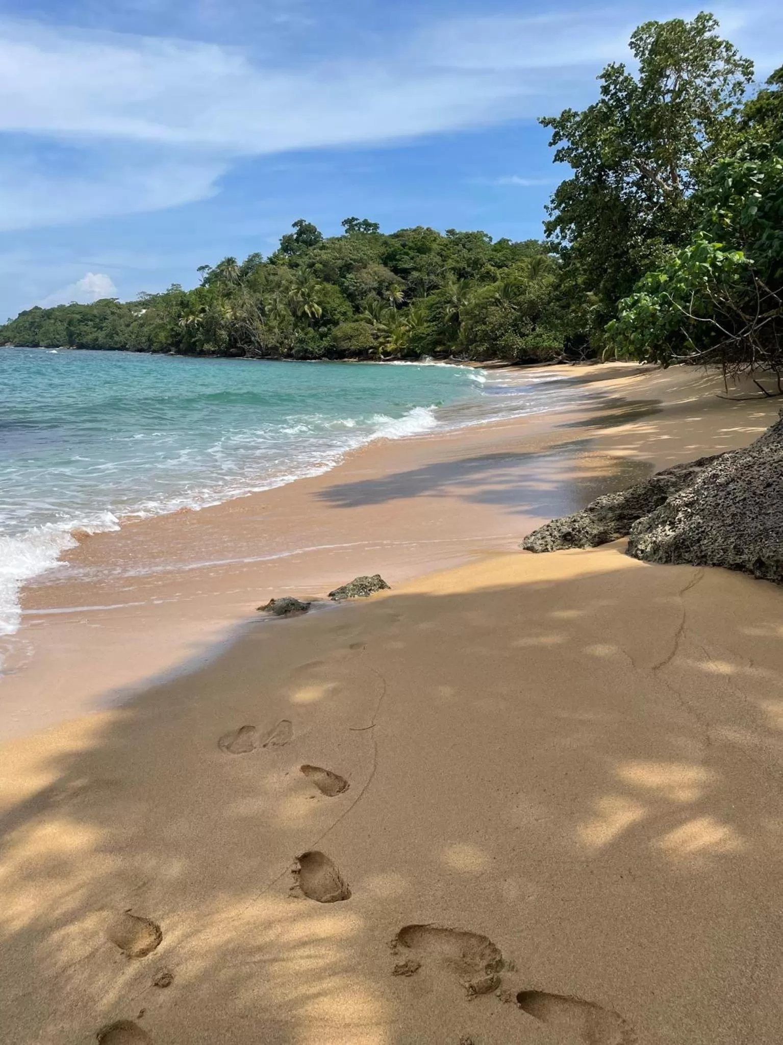 Beach in Bird Island Bungalows