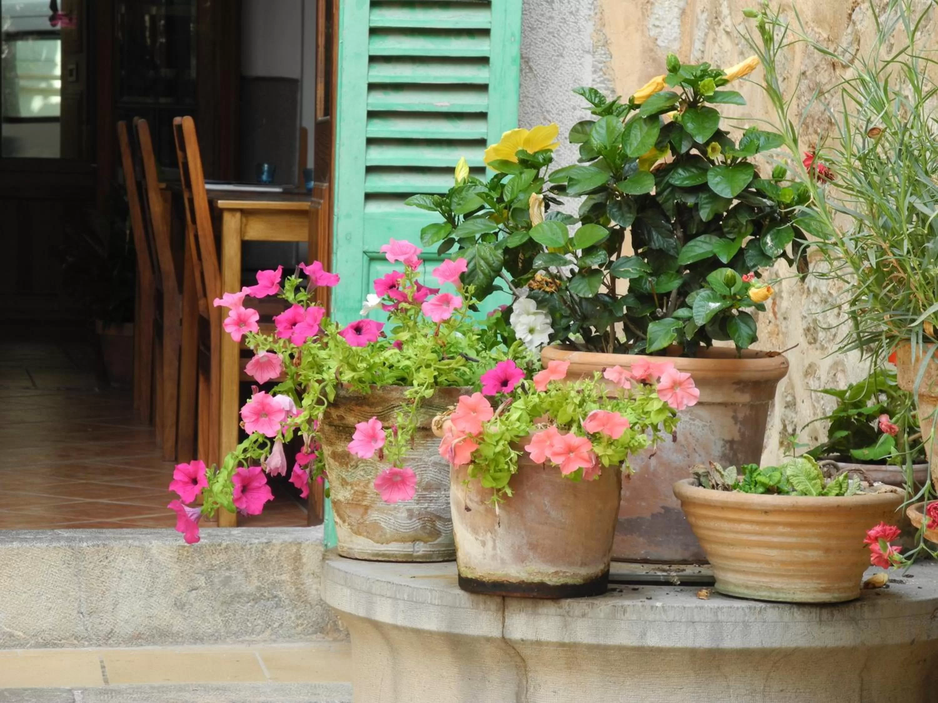 Other in Hotel Casa Bougainvillea