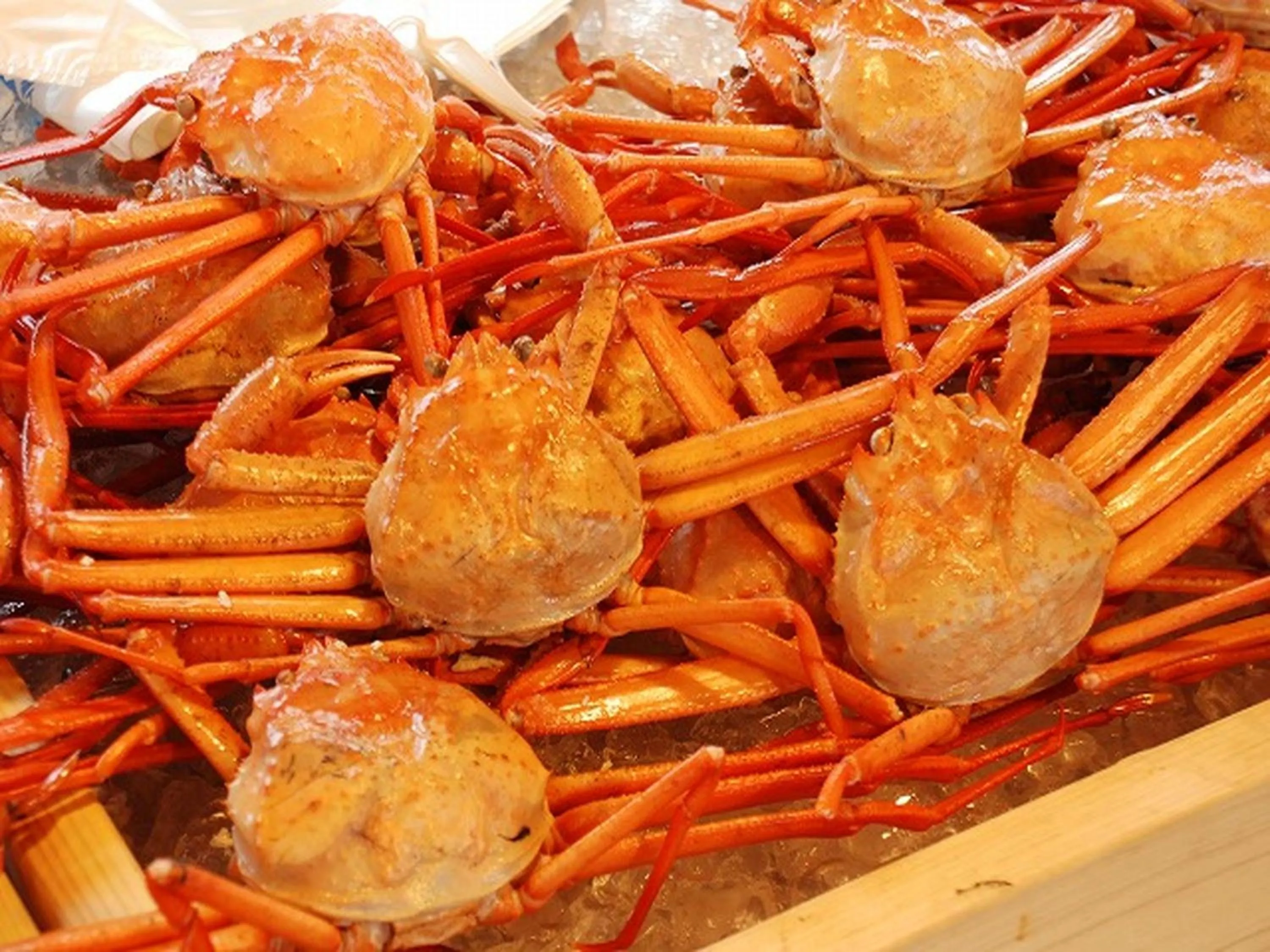 Other in APA Hotel Uozu Ekimae