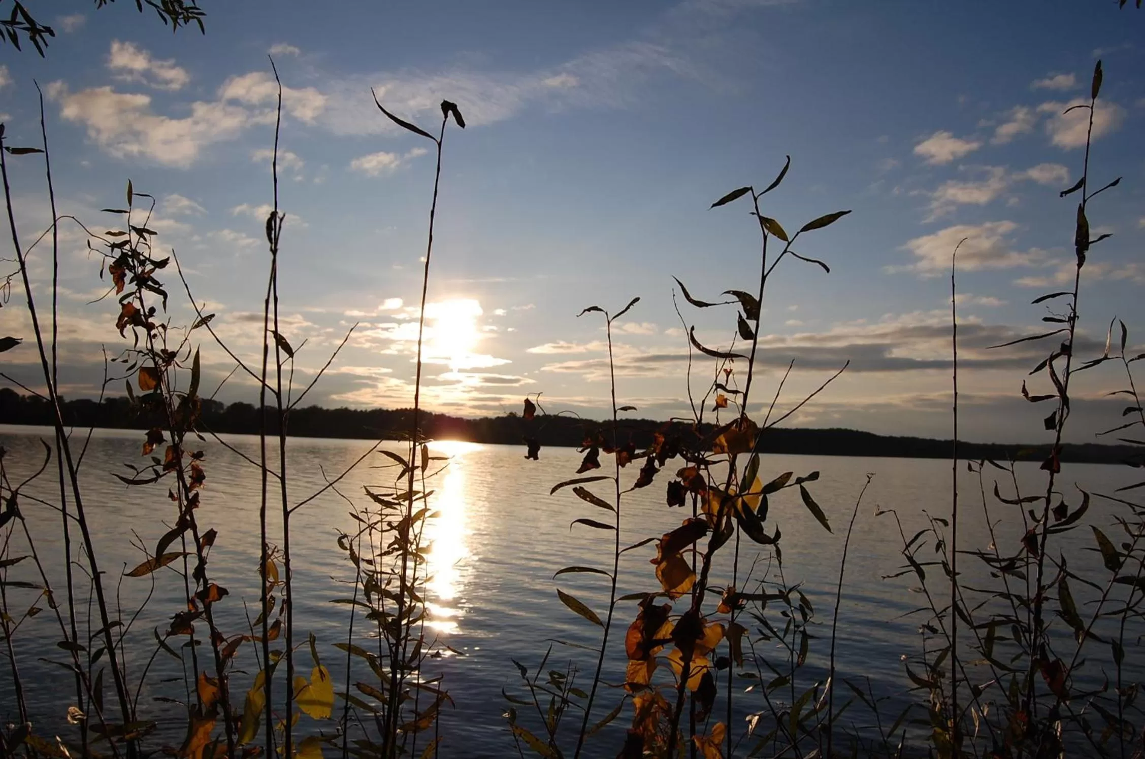 Cycling in Przystanek Czapla