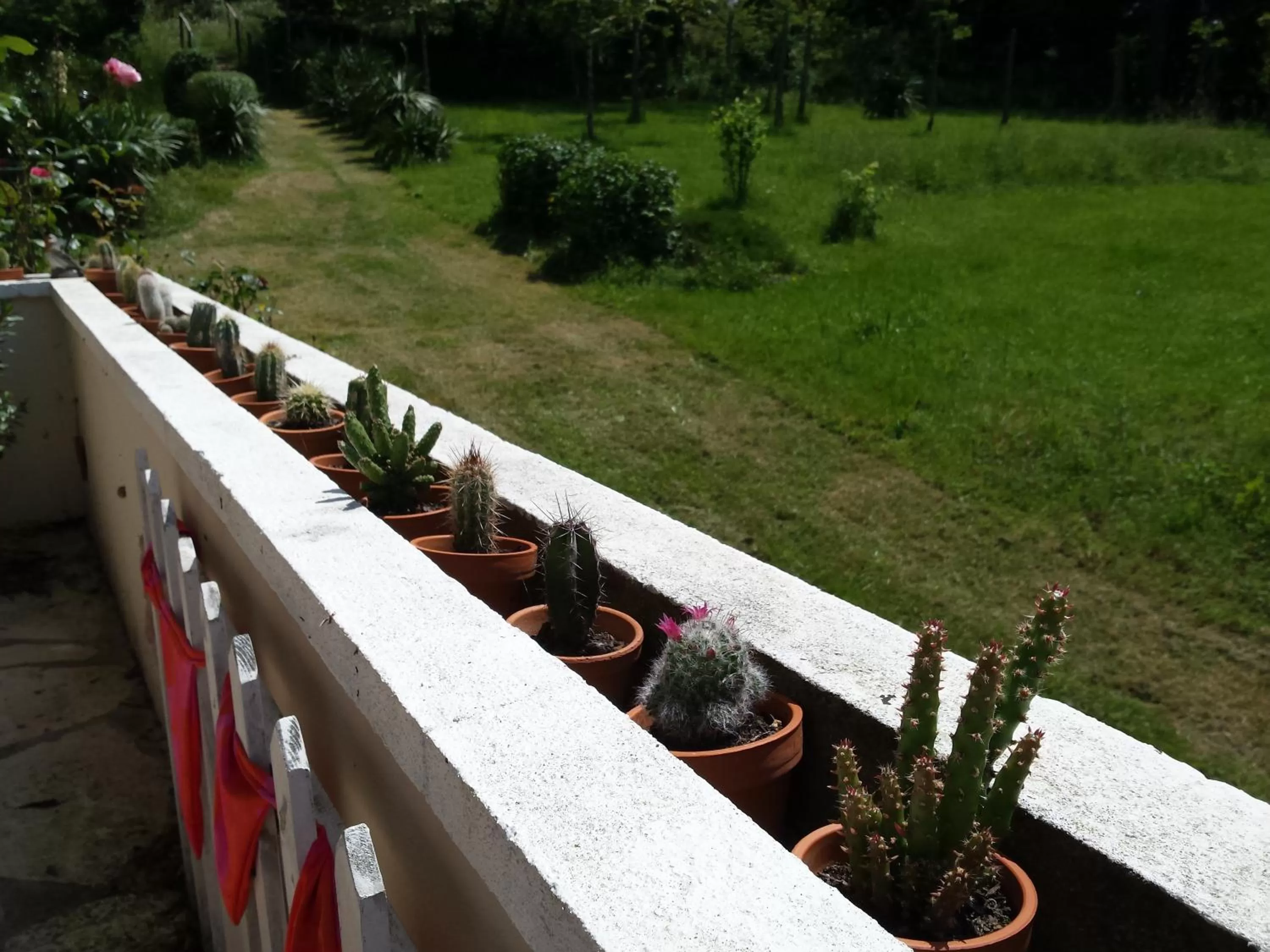 Property building in 13 Bees