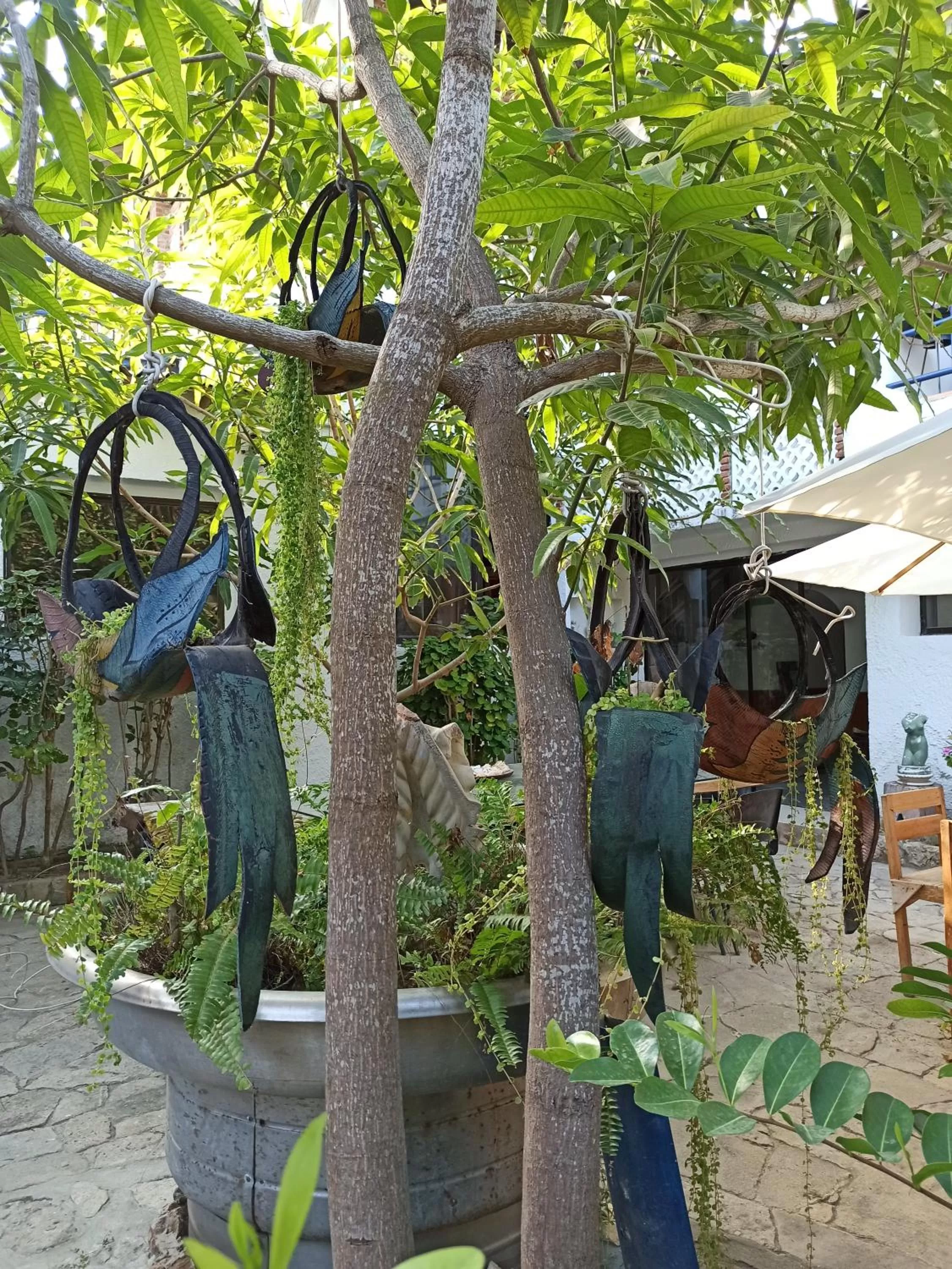 Other Animals in Hotel Boutique Casa Berastegui