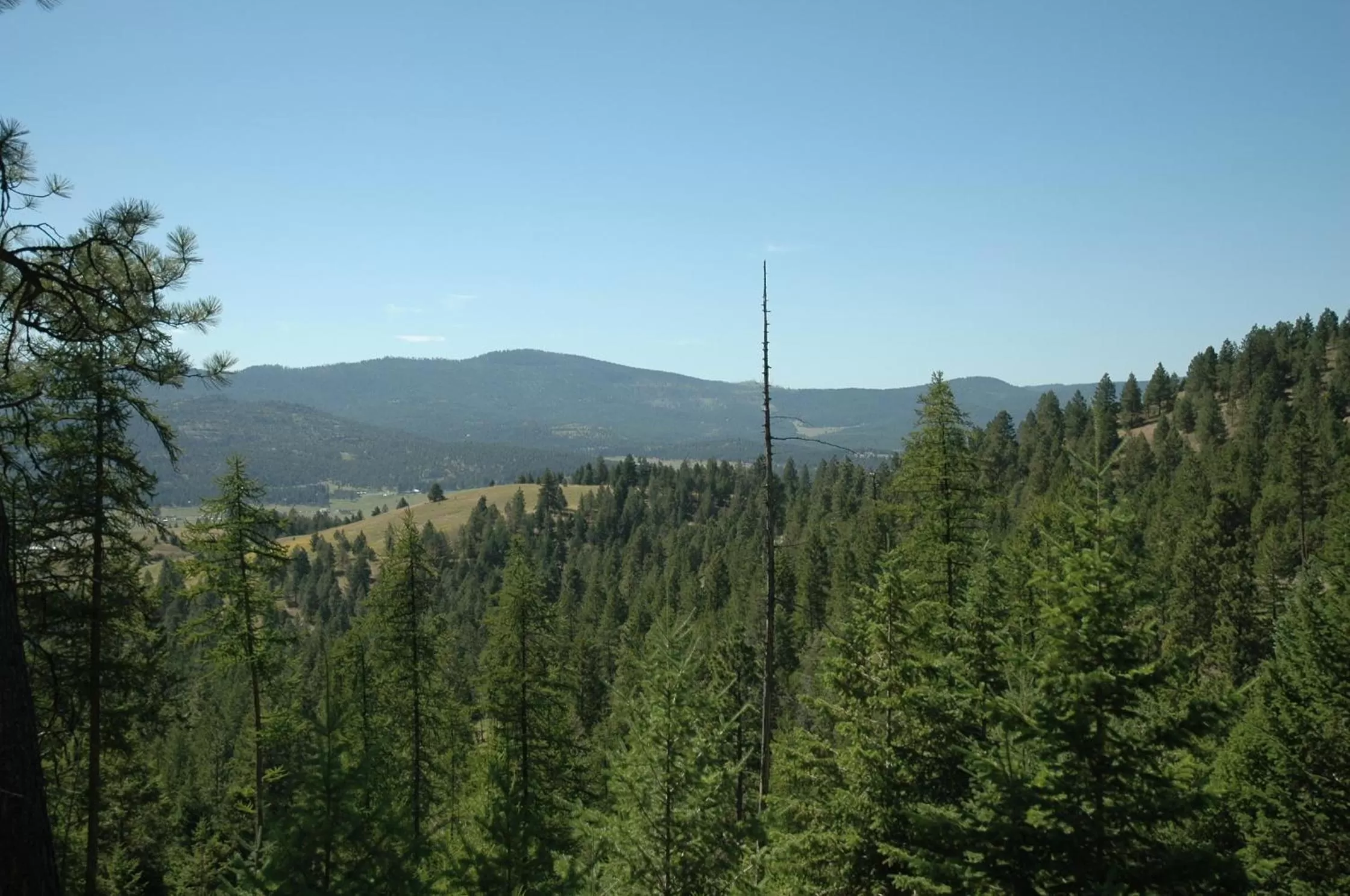 Bird's eye view in Lonesome Dove Ranch
