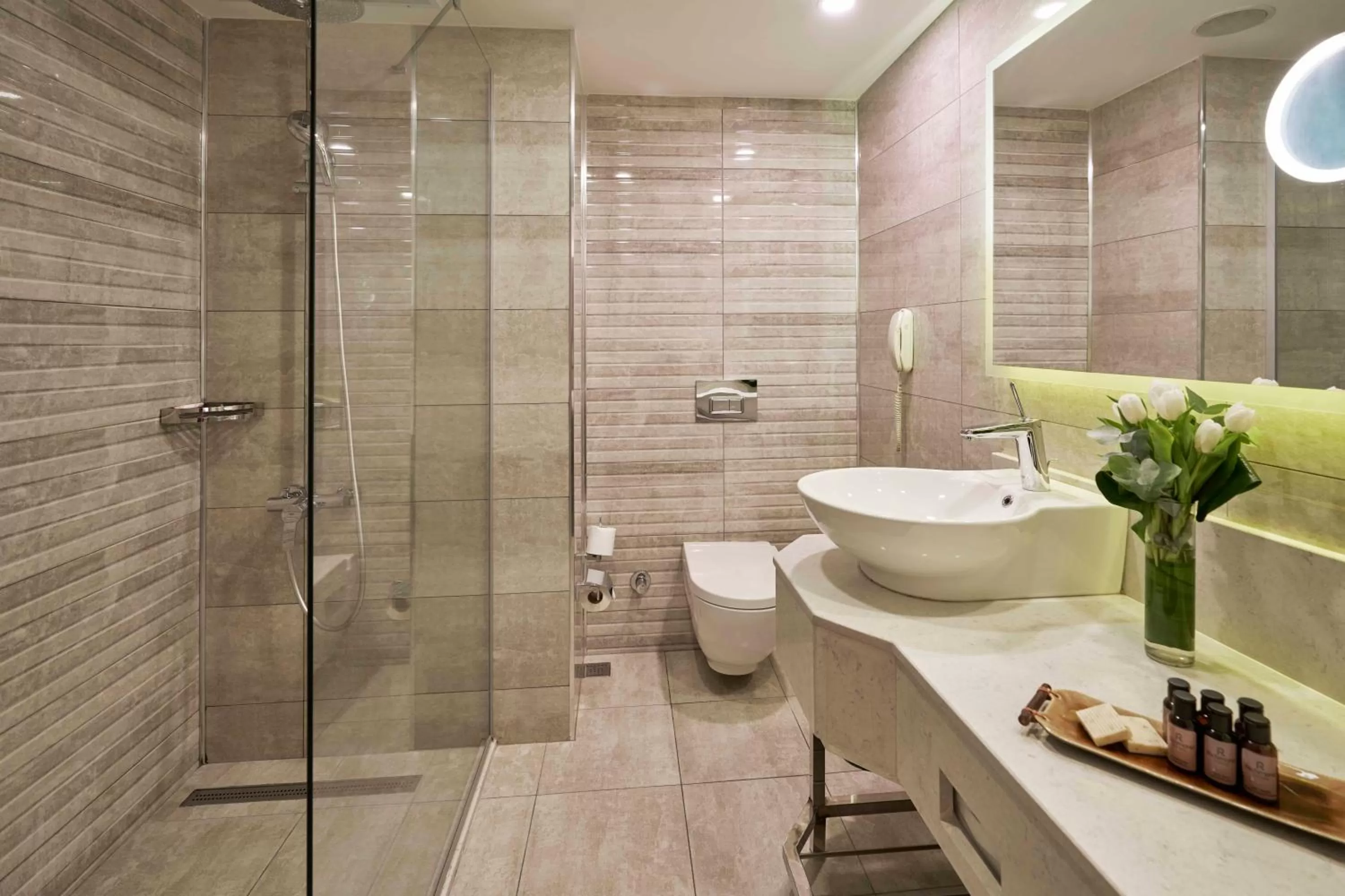 Bathroom in Richmond Istanbul