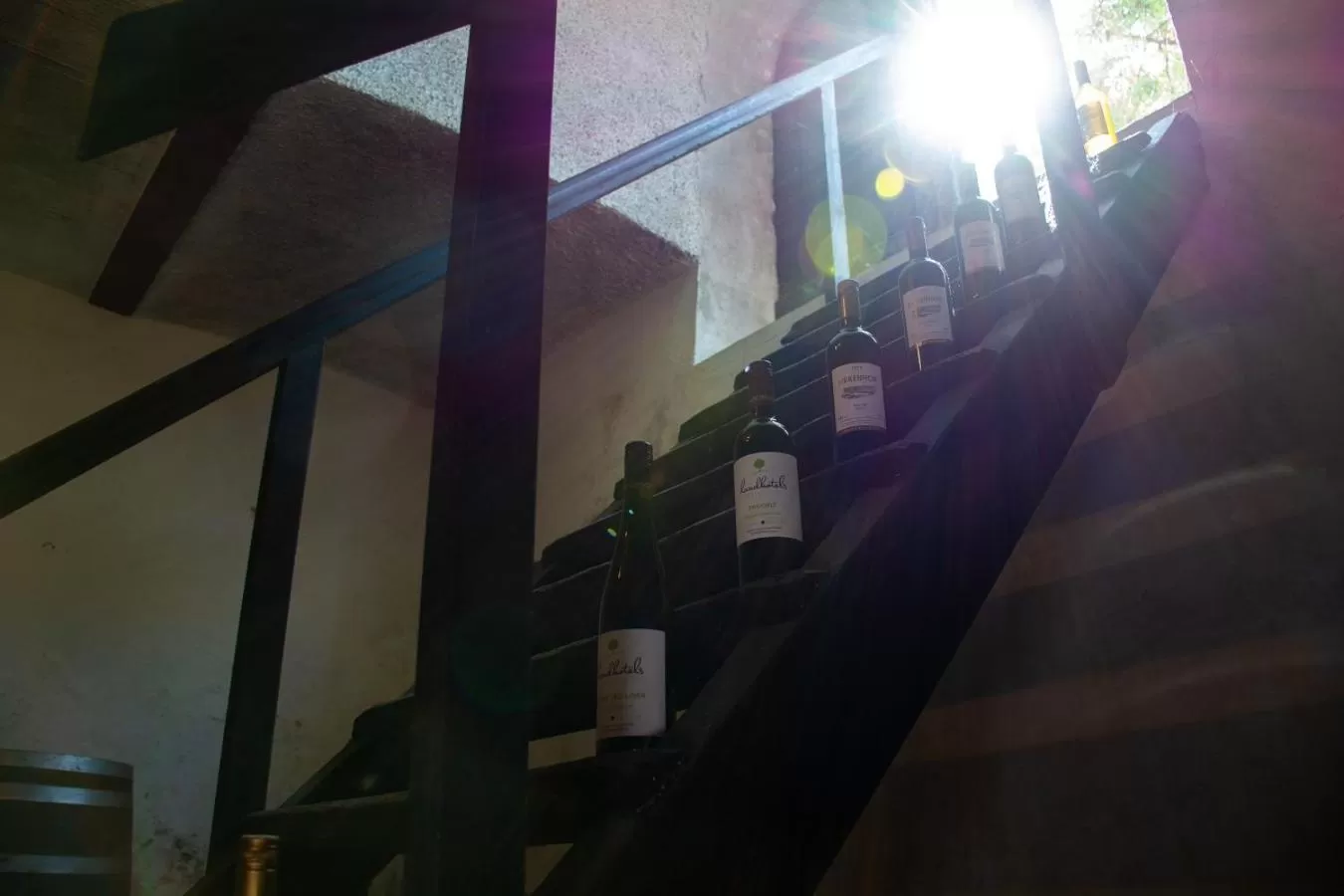 Other in BIRKENHOF GOLS - B & B - Wohlfühl Hotel mit Wochenend-Restaurant