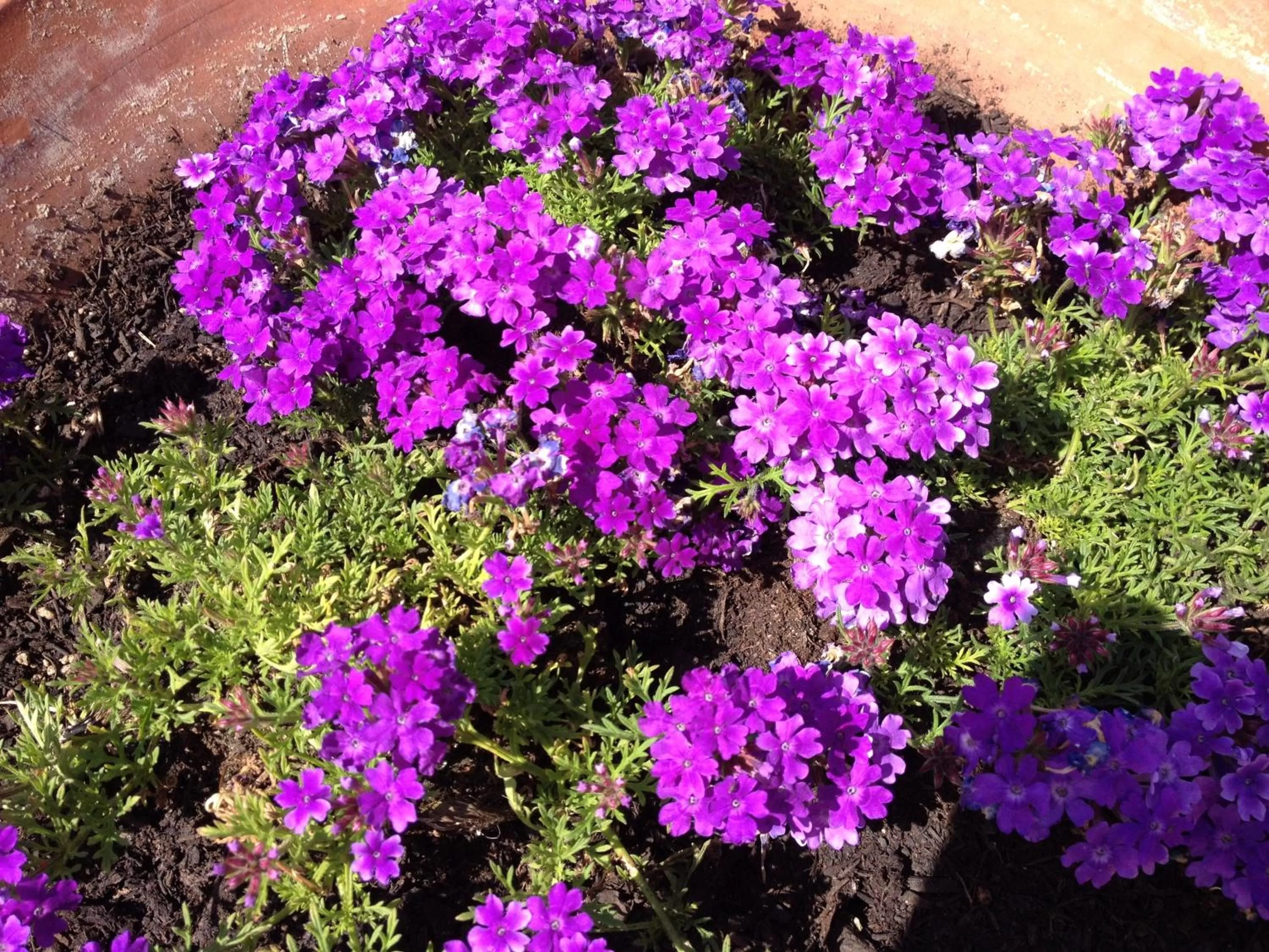 Decorative detail in Agroturismo Binissafullet Vell