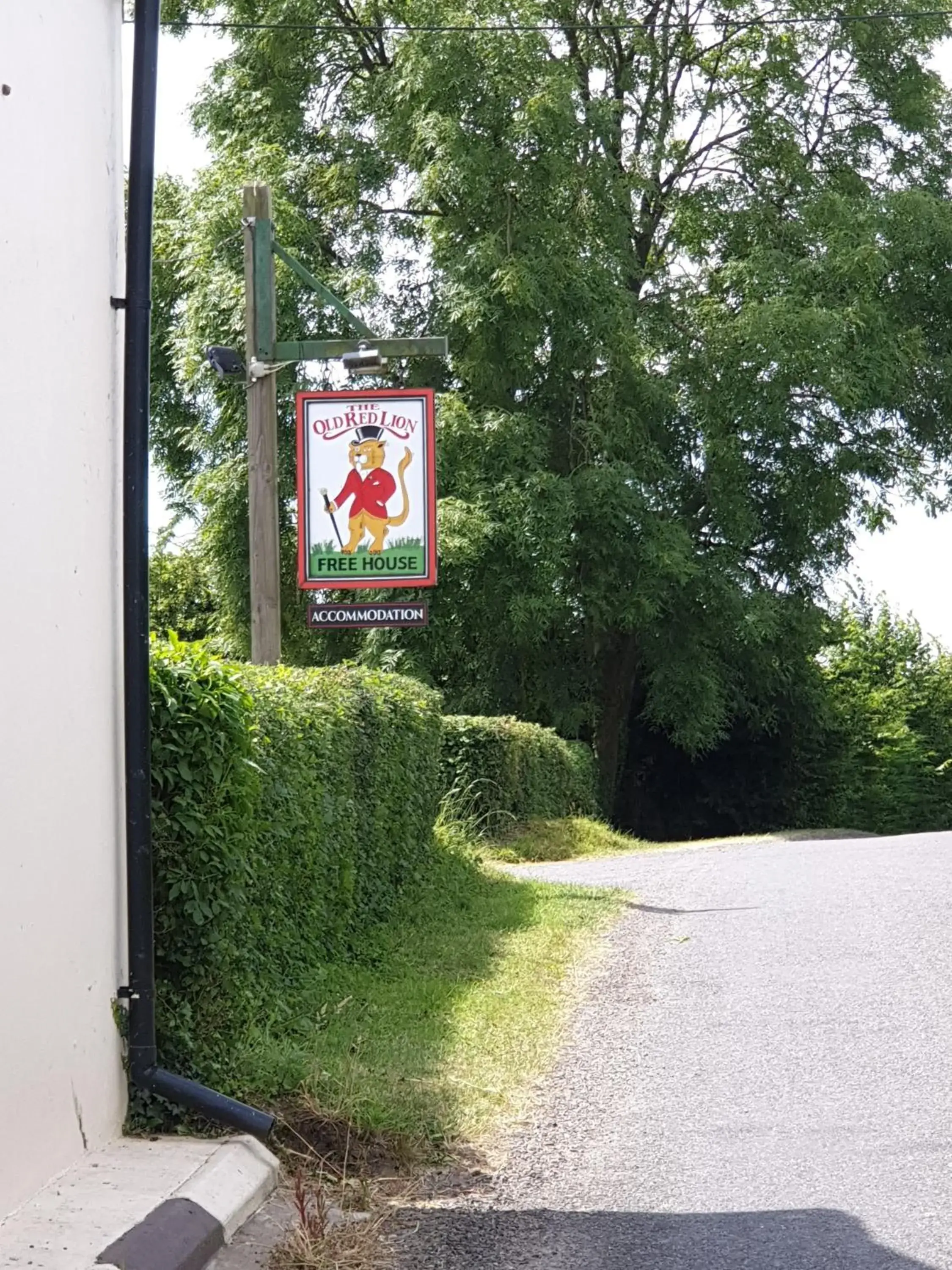 the old red lion the old red lion