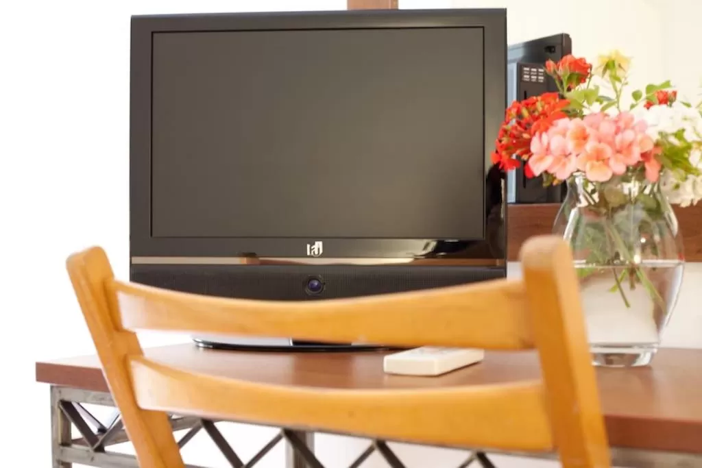 TV and multimedia in Veggie Garden Athens B&B