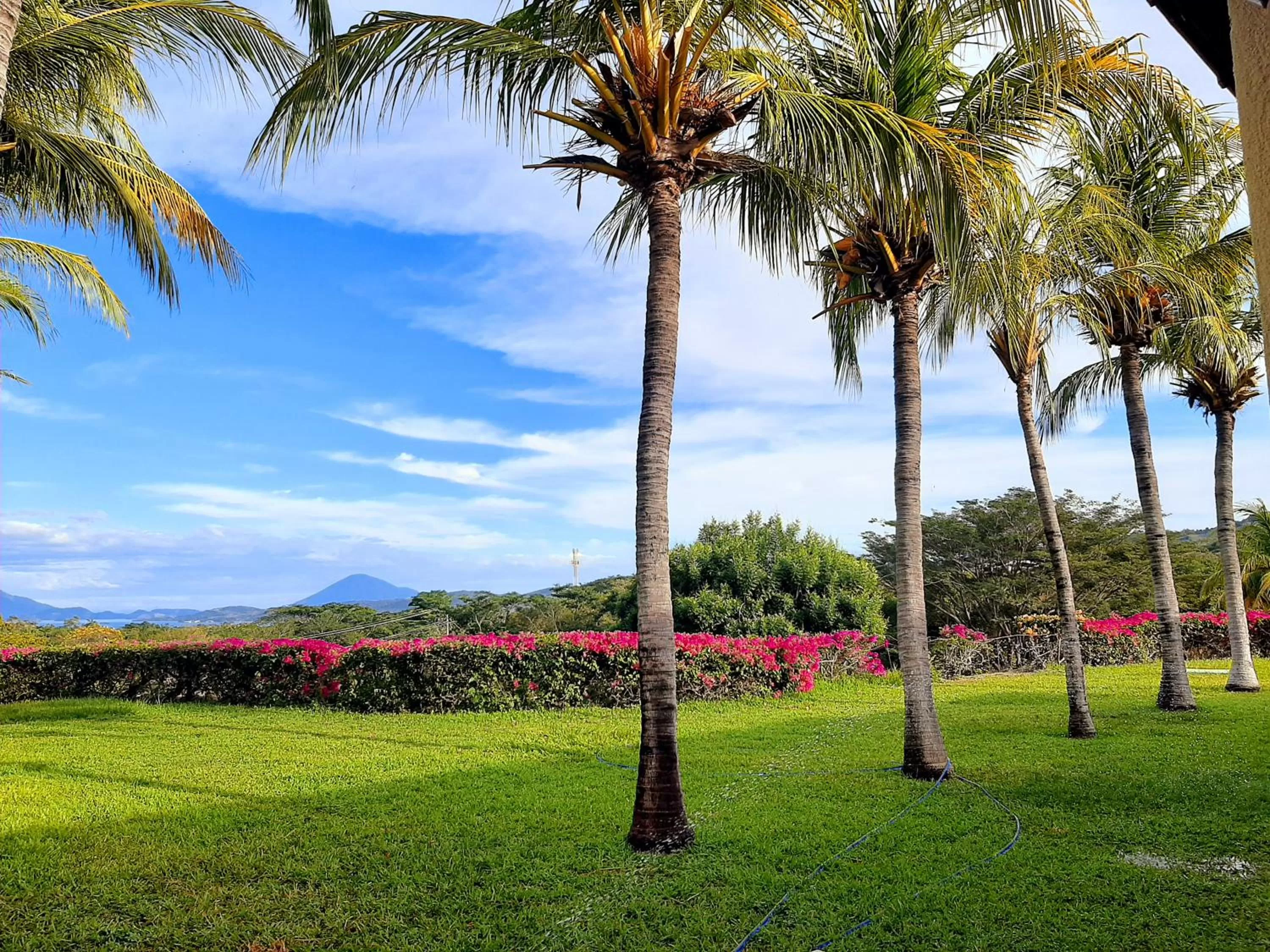 Garden in Comfort Inn Real La Union