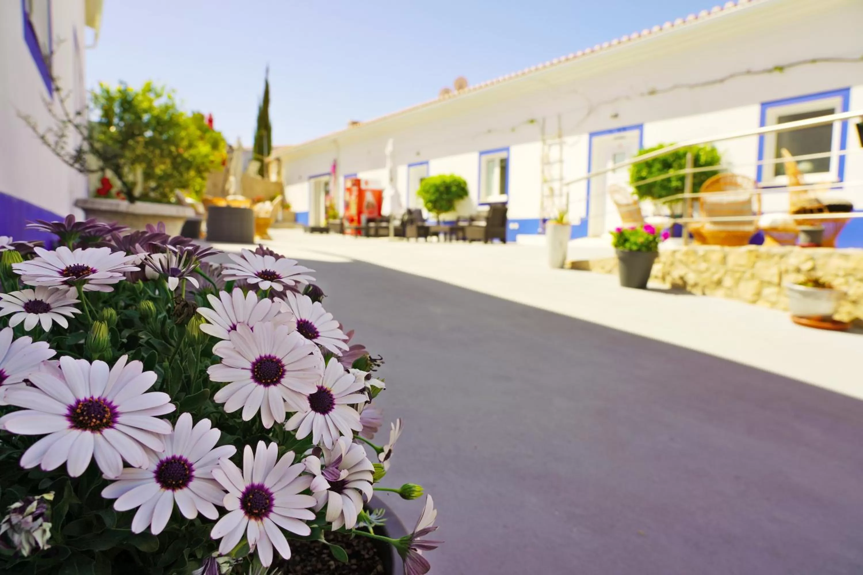 Patio in Carvoeiro B&B and SPA