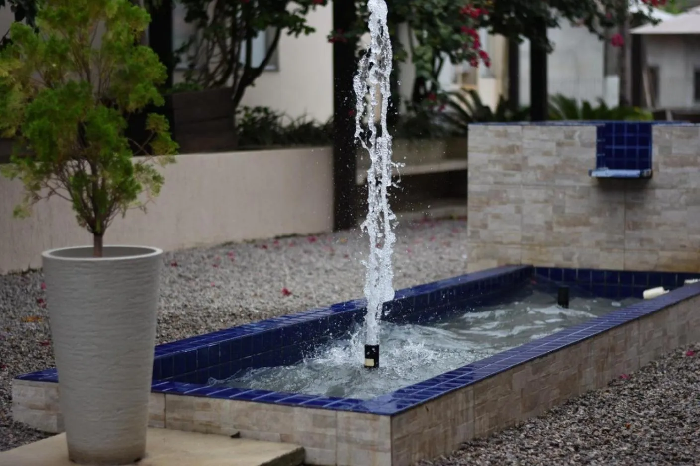 Area and facilities in Hotel Do Forte