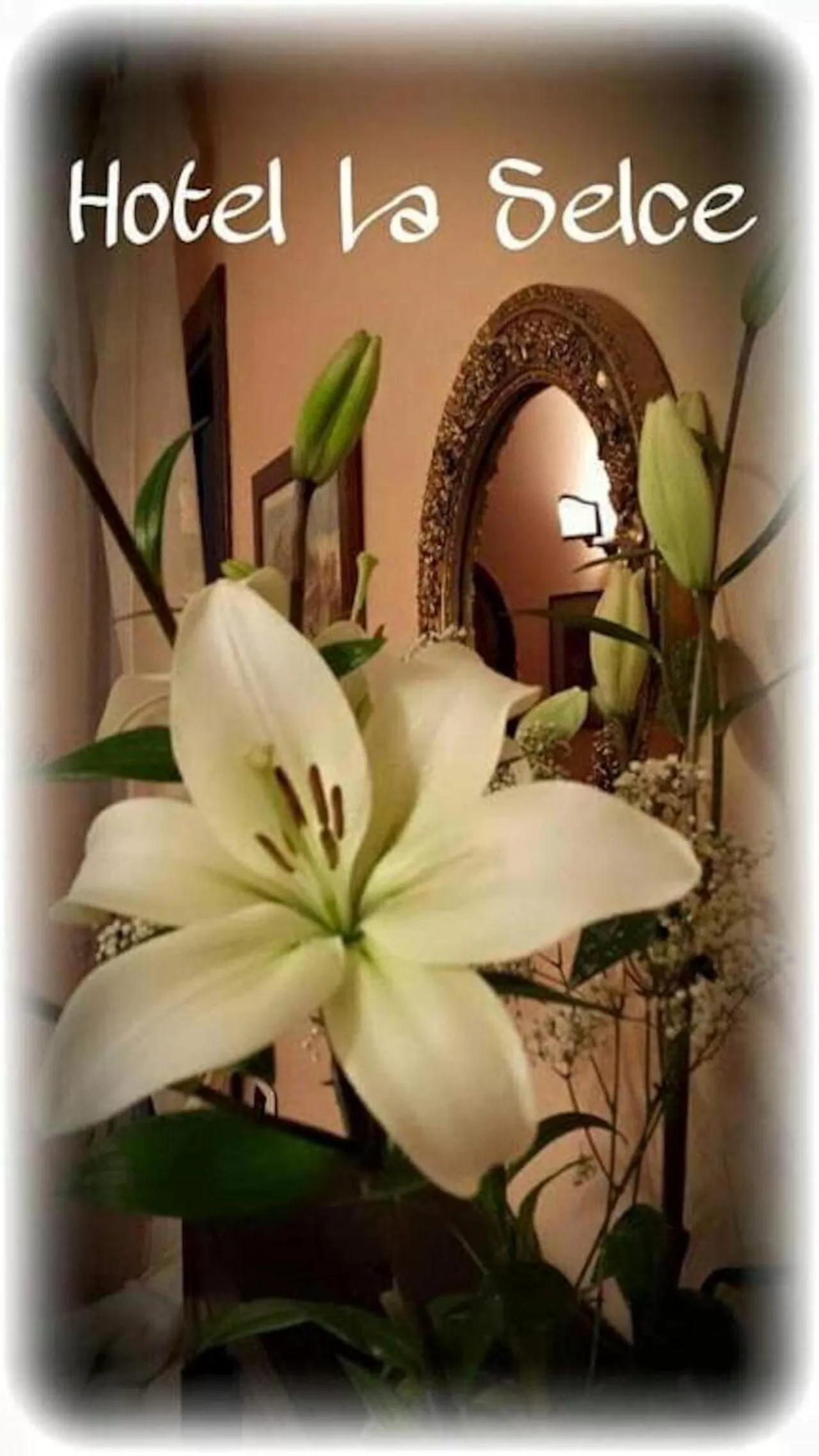 Text overlay in Hotel La Selce