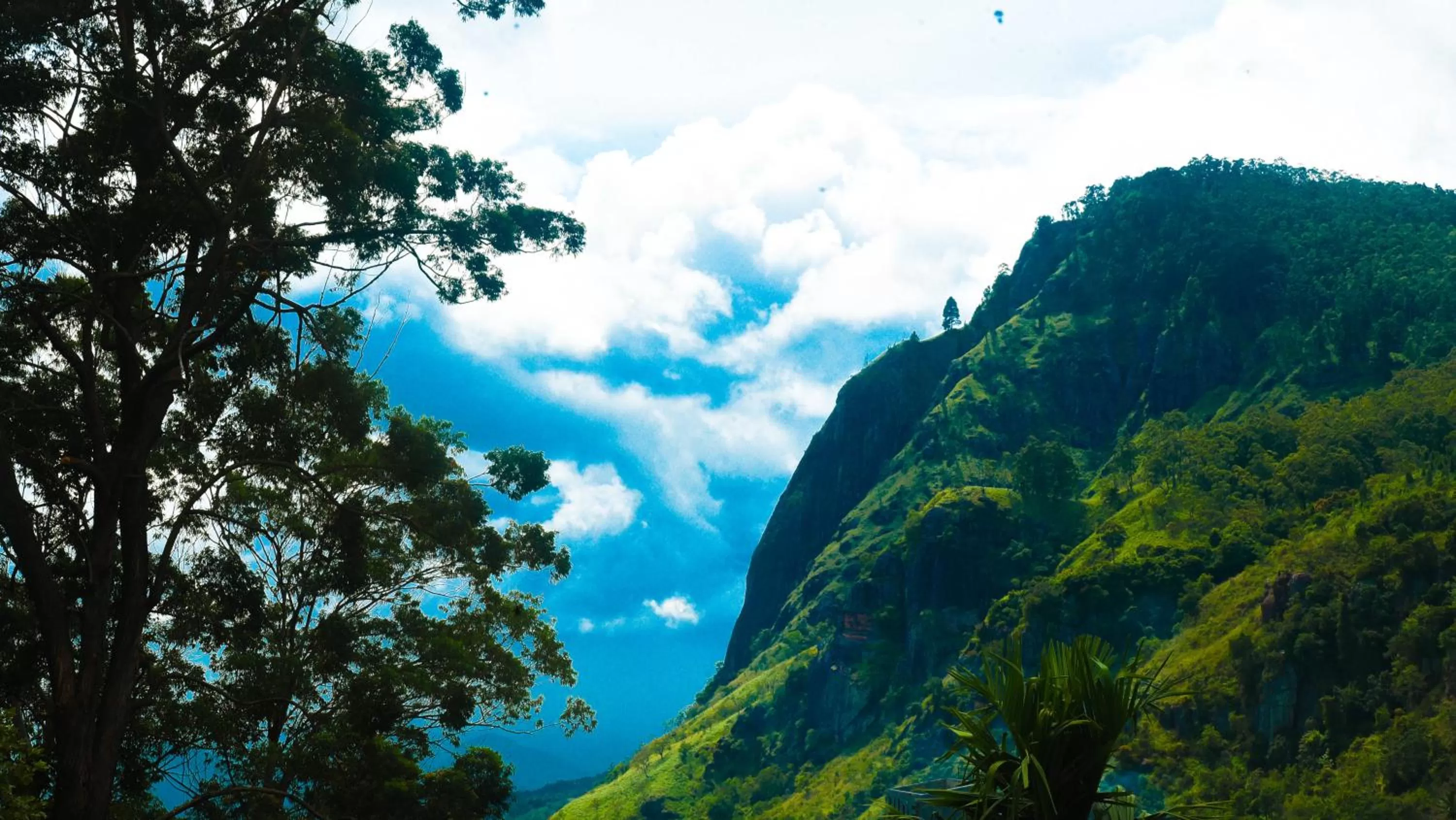 Natural Landscape in Madushanka Resort