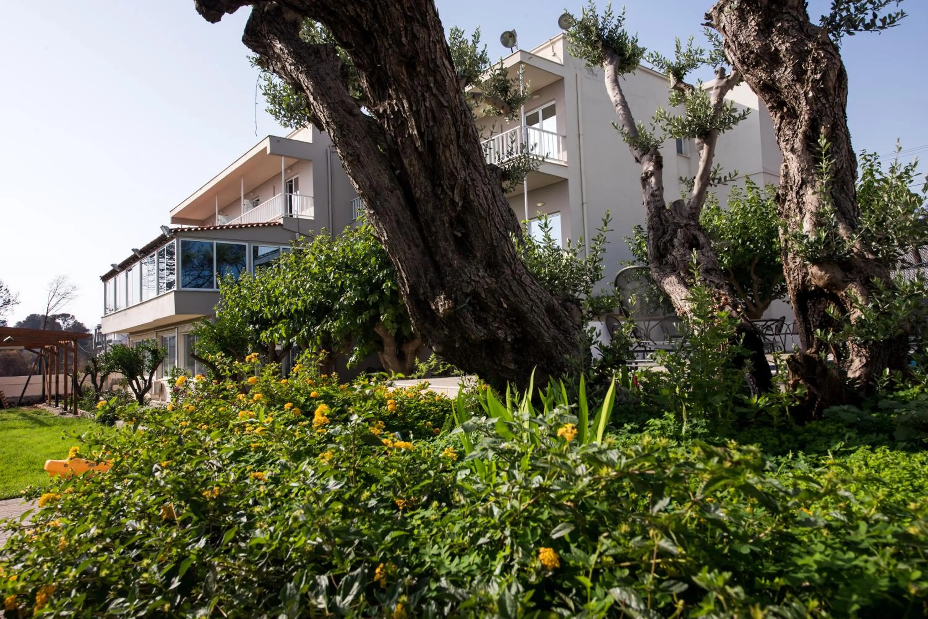 Property building in Myrto Hotel