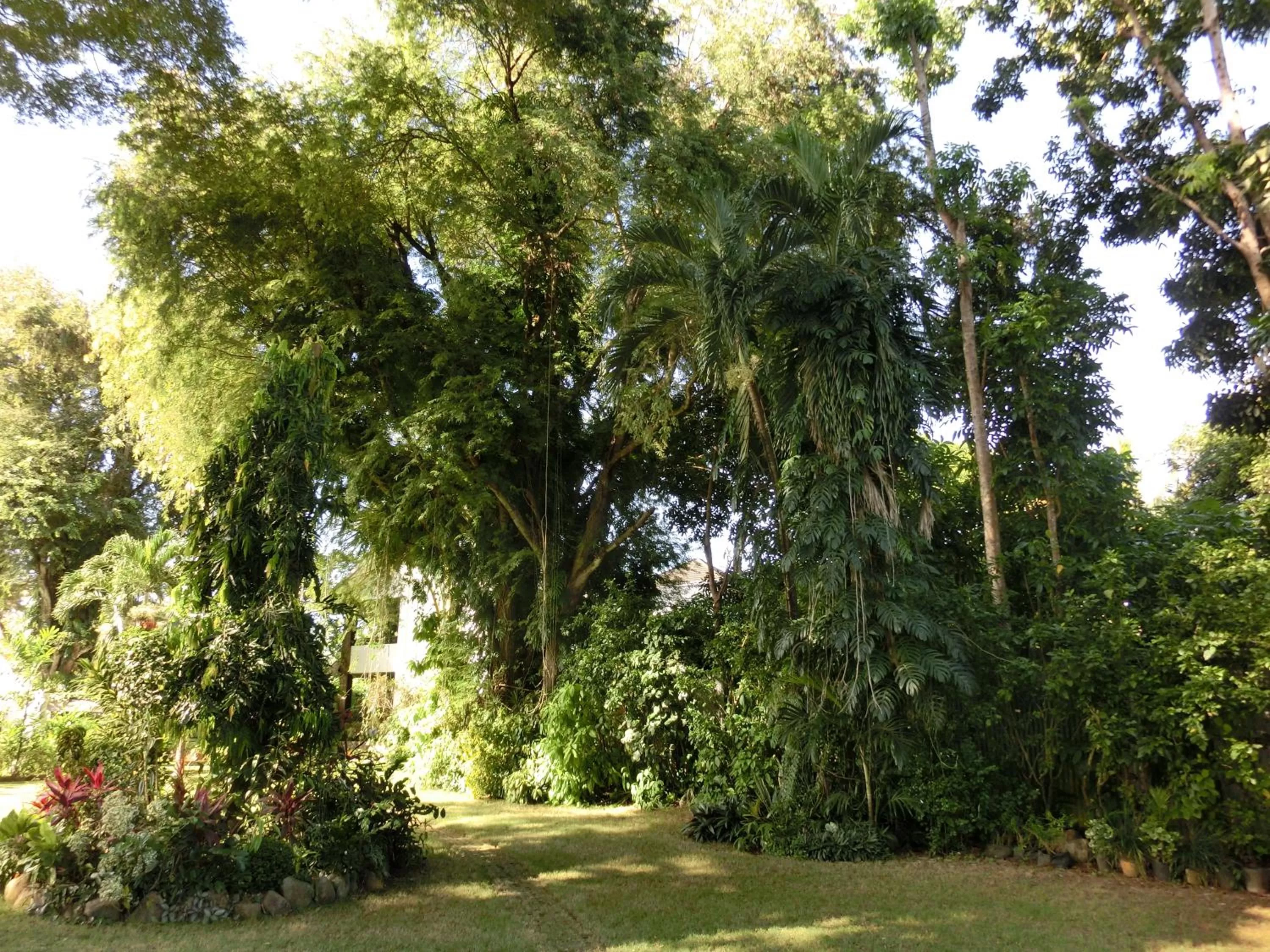 Garden view in Balay Tuko Garden Inn