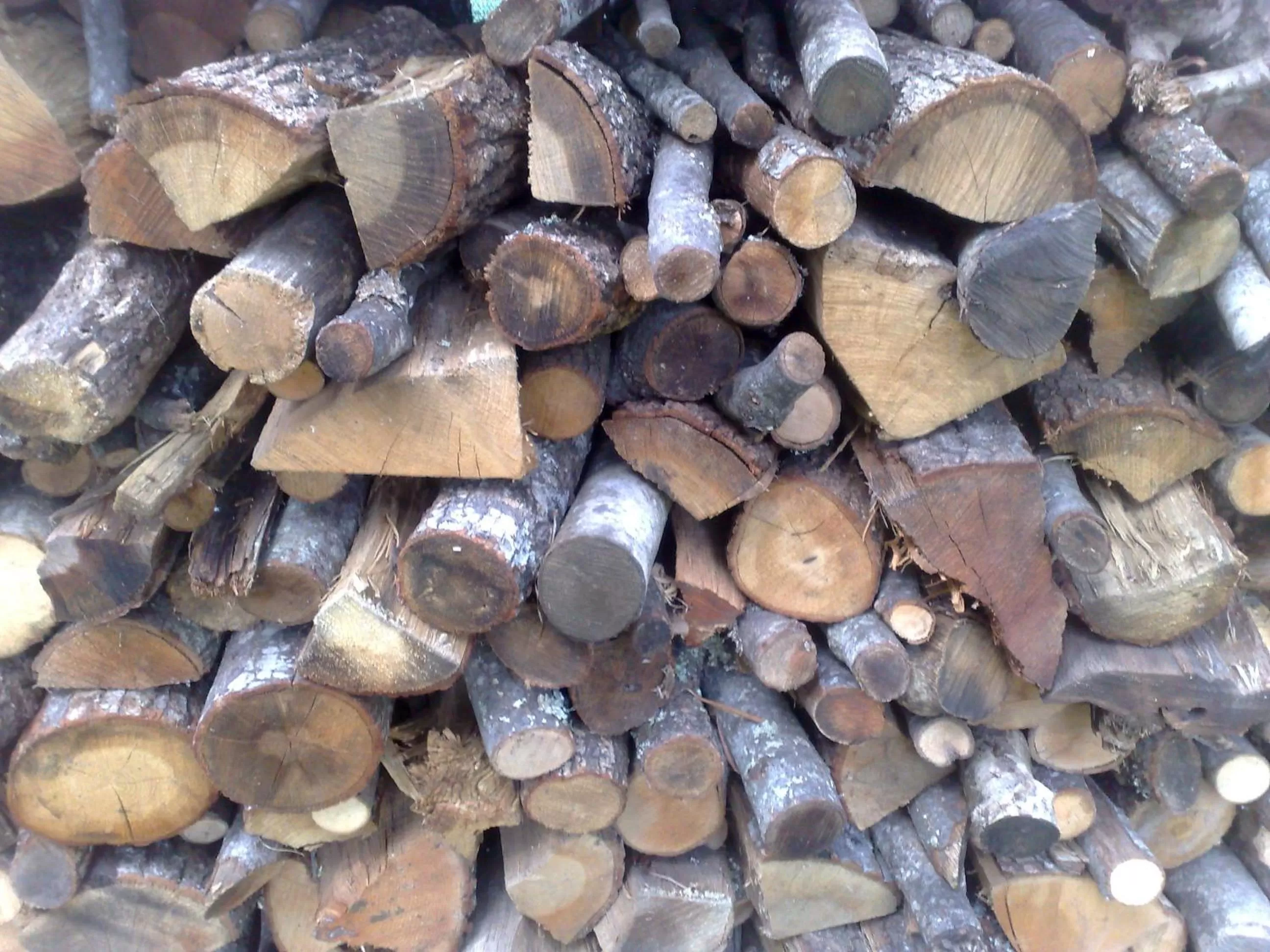 BBQ facilities in B&B Il Giardino di Gabri