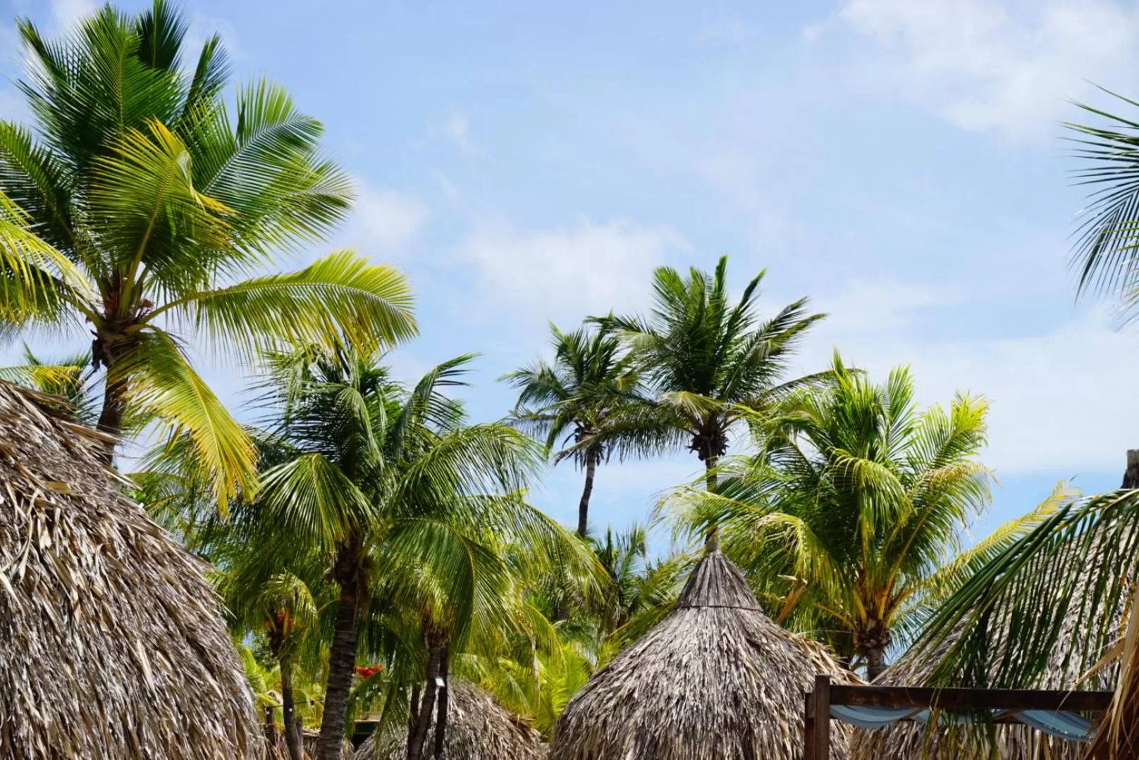 Beach in Boca Simon Vacation Curacao