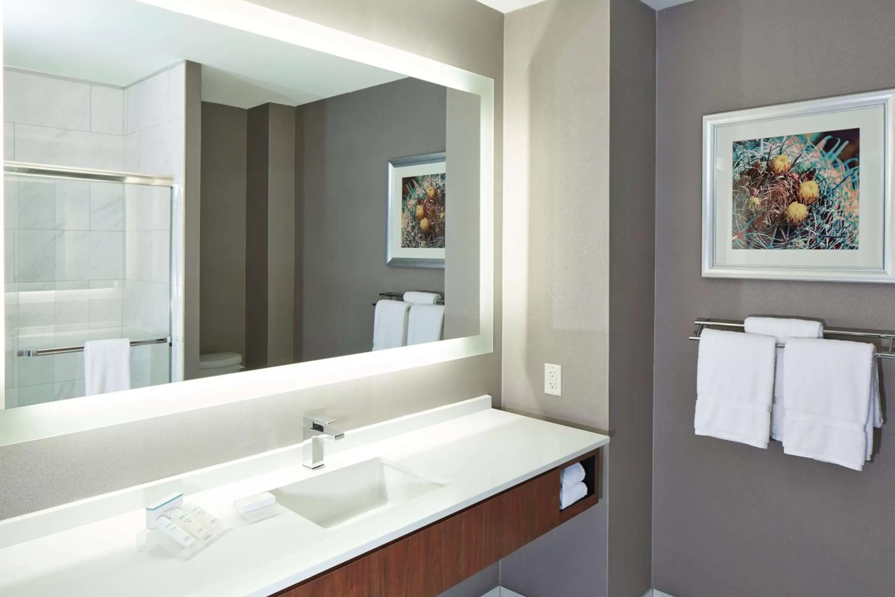 Double Room with Two Double Beds - Non-Smoking in Hilton Garden Inn Phoenix Downtown Double Room with Two Double Beds - Non-Smoking in Hilton Garden Inn Phoenix Downtown