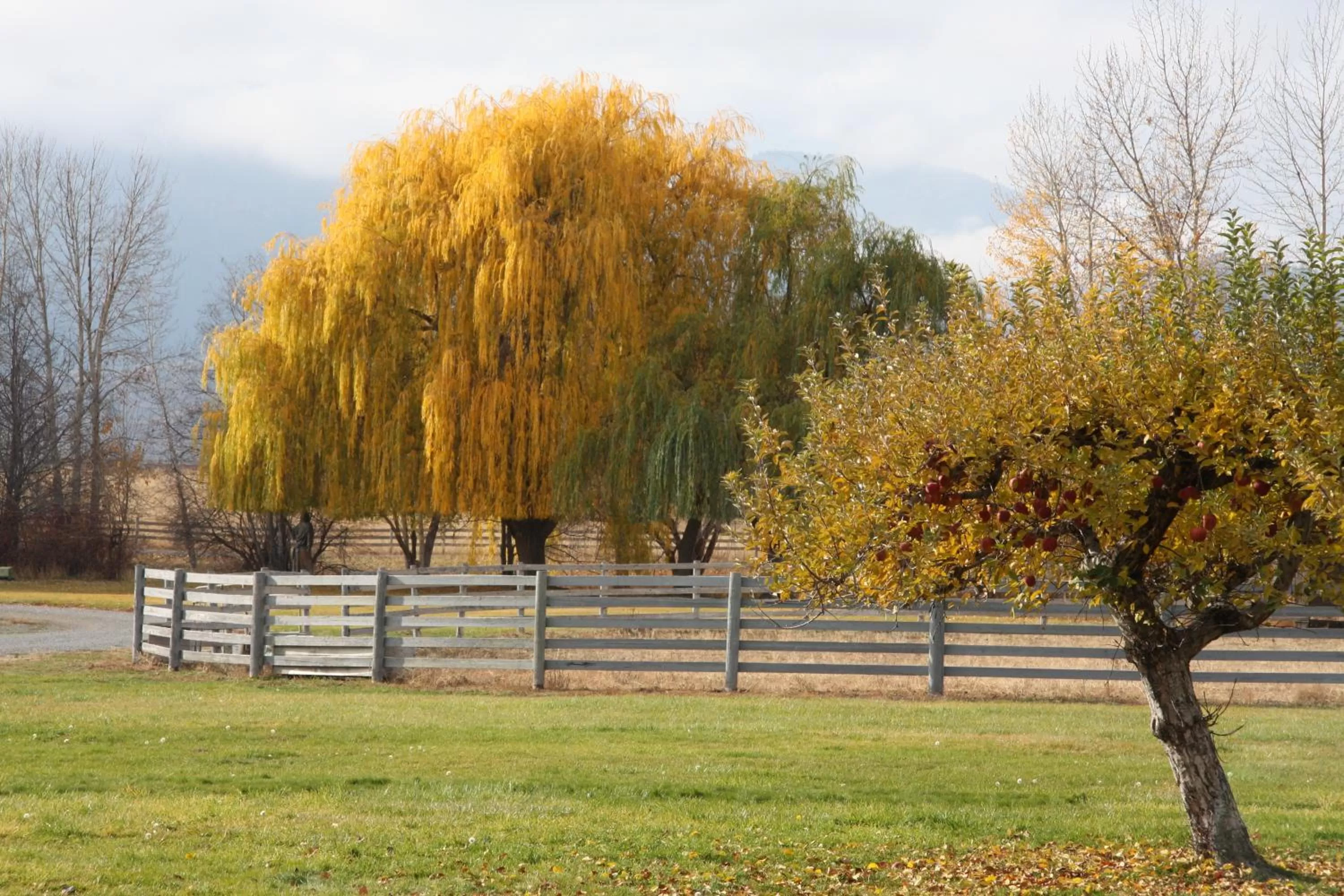 Garden in Casia Lodge and Ranch