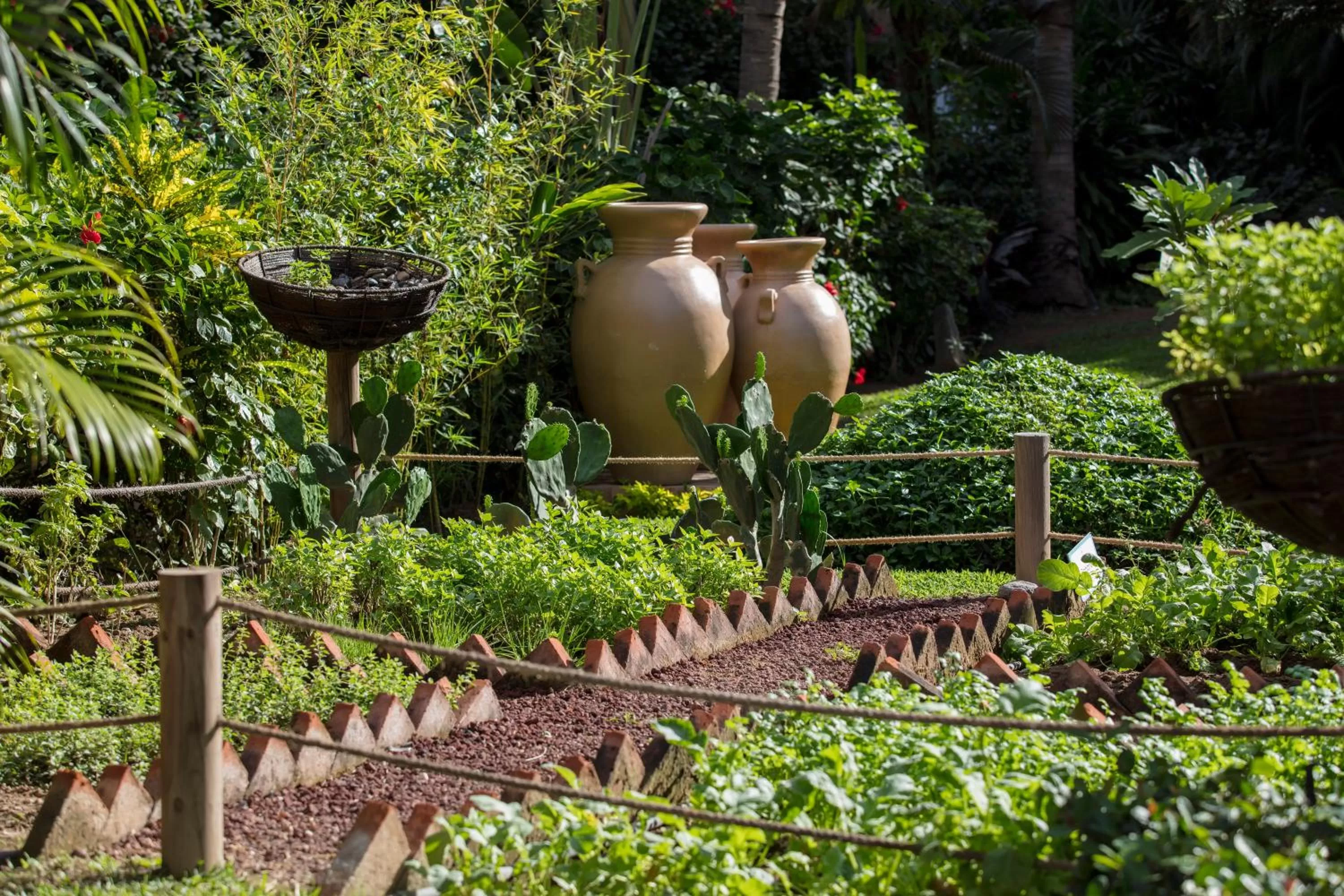Garden in Flamingo Vallarta Hotel & Marina