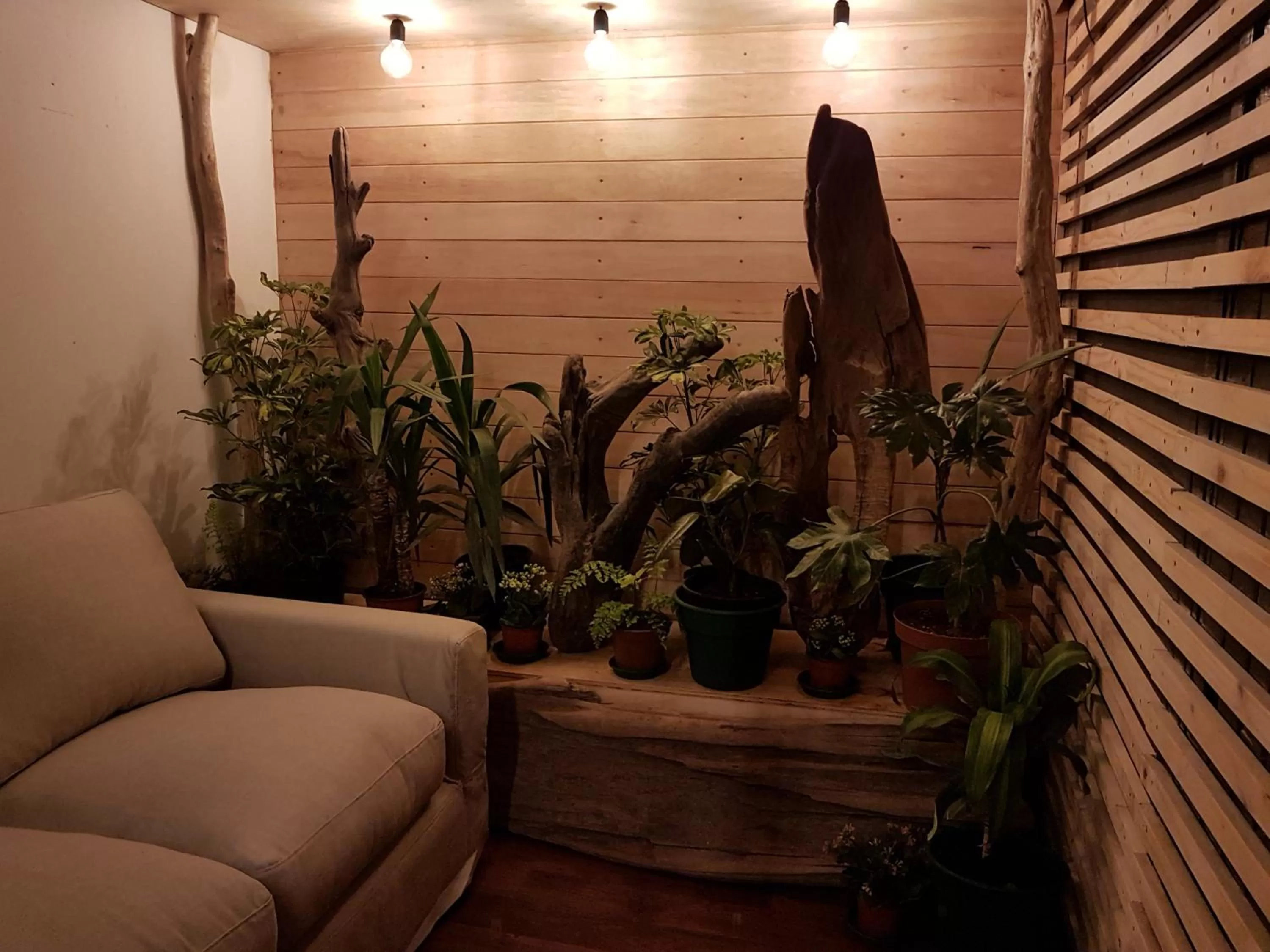 Other in Hotel Tehuelche Natura