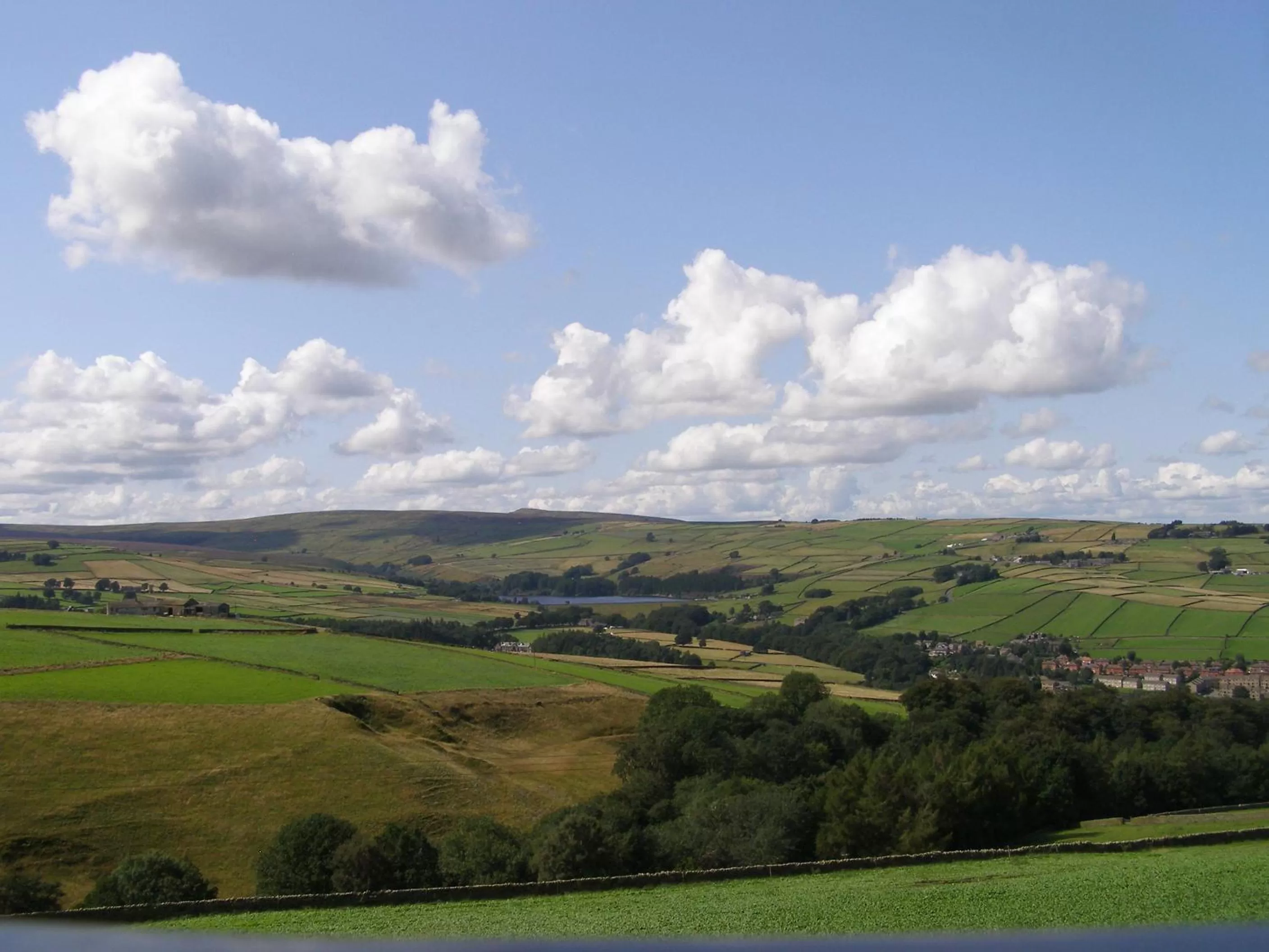 Mountain view in Coddy's Farm